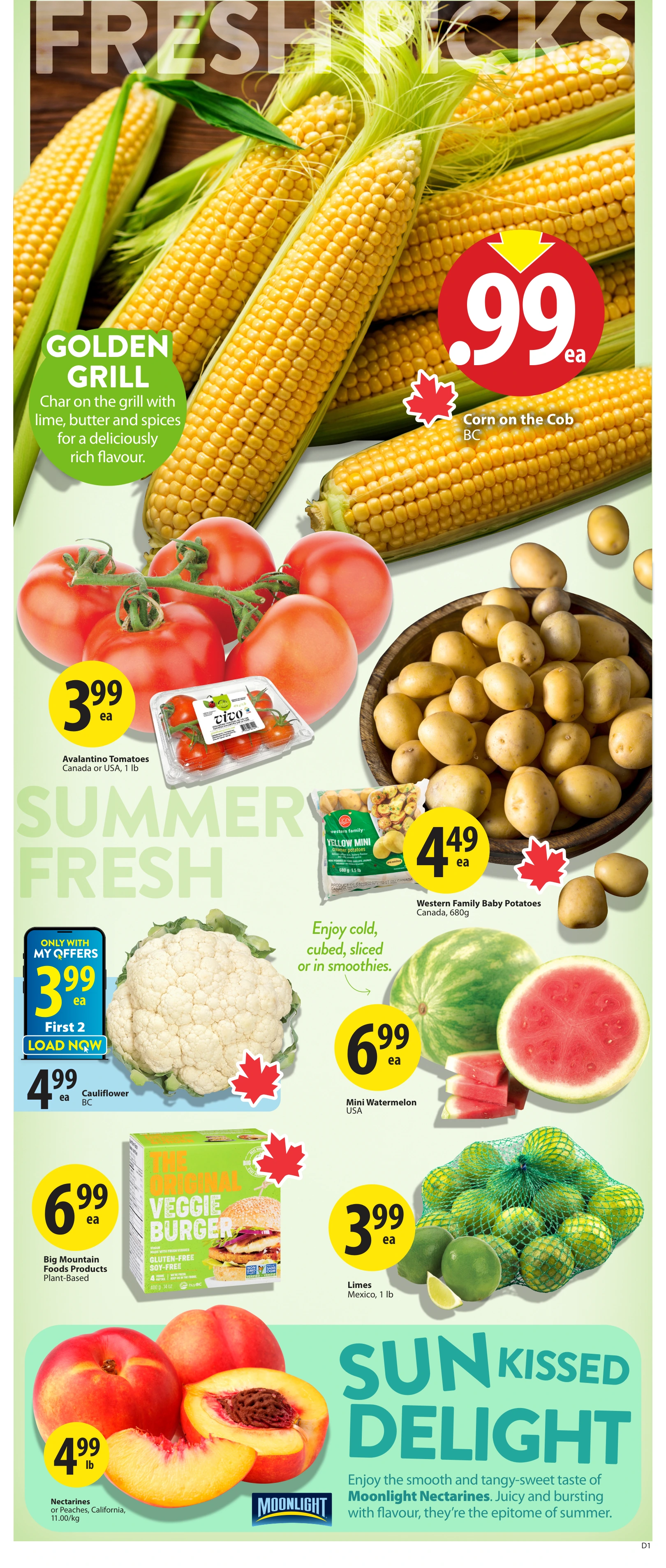 Flyer page 6