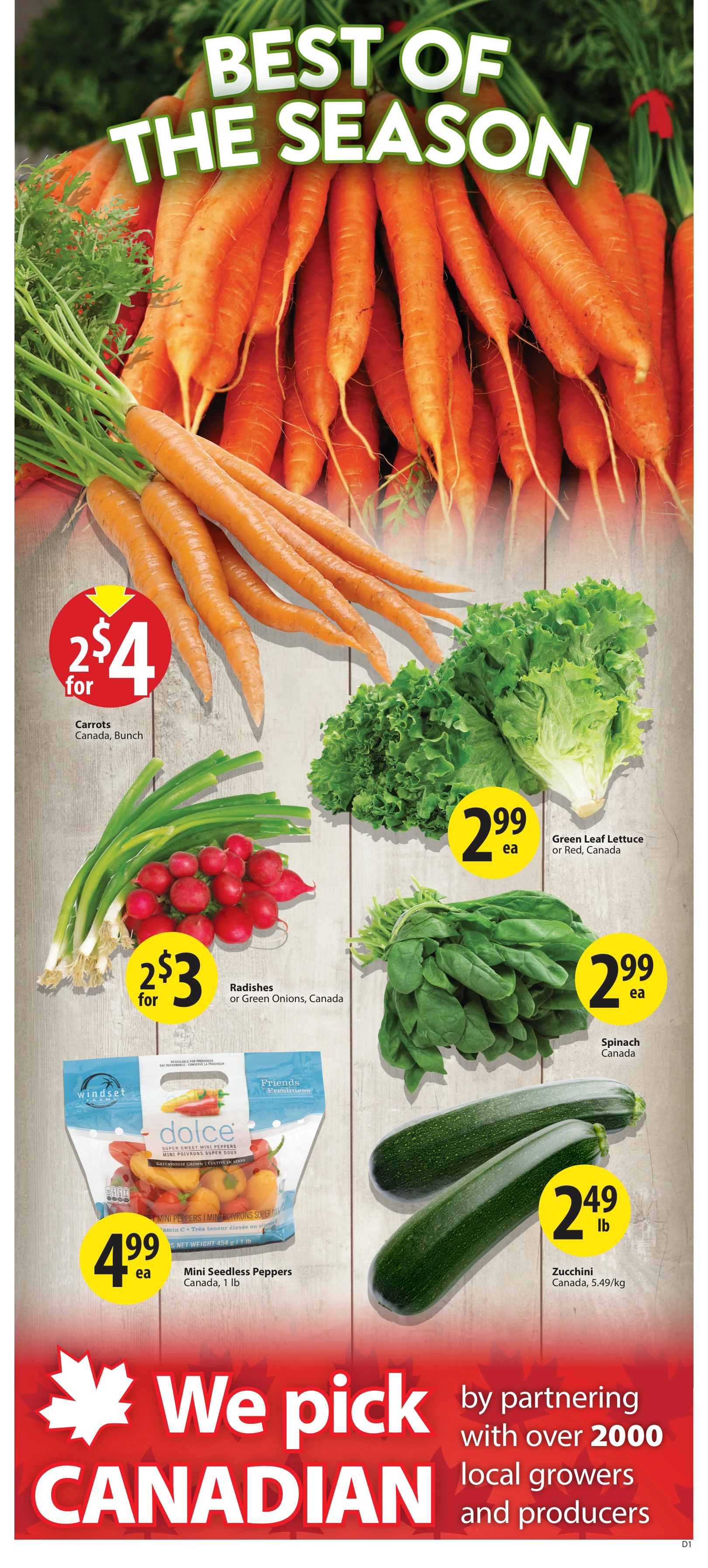 Flyer page 6