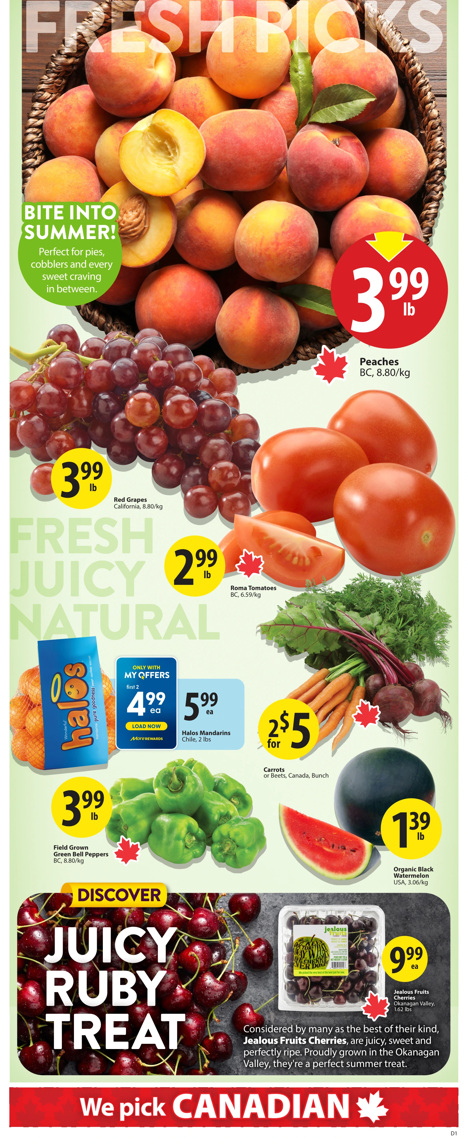 Flyer page 3