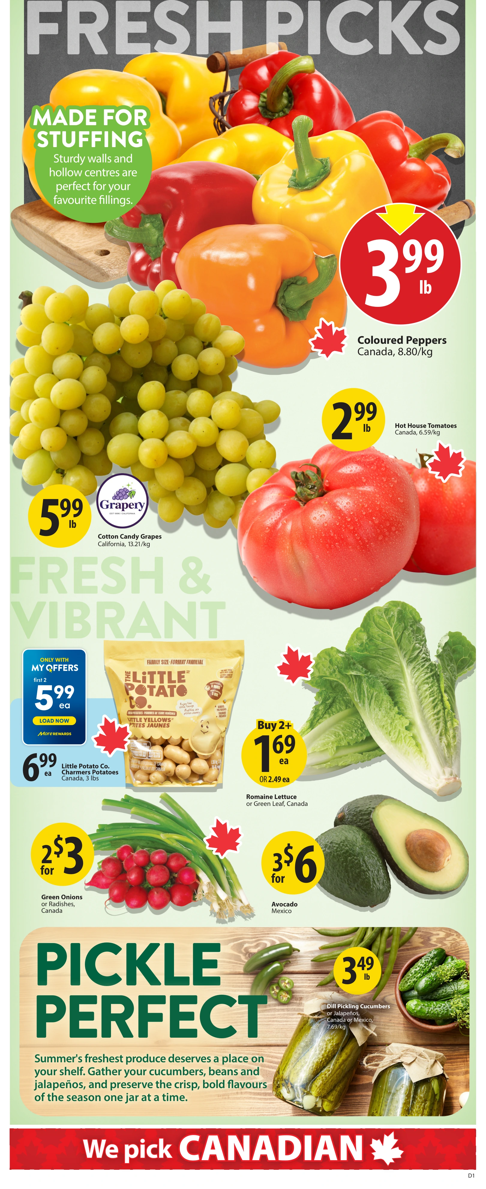 Flyer page 7