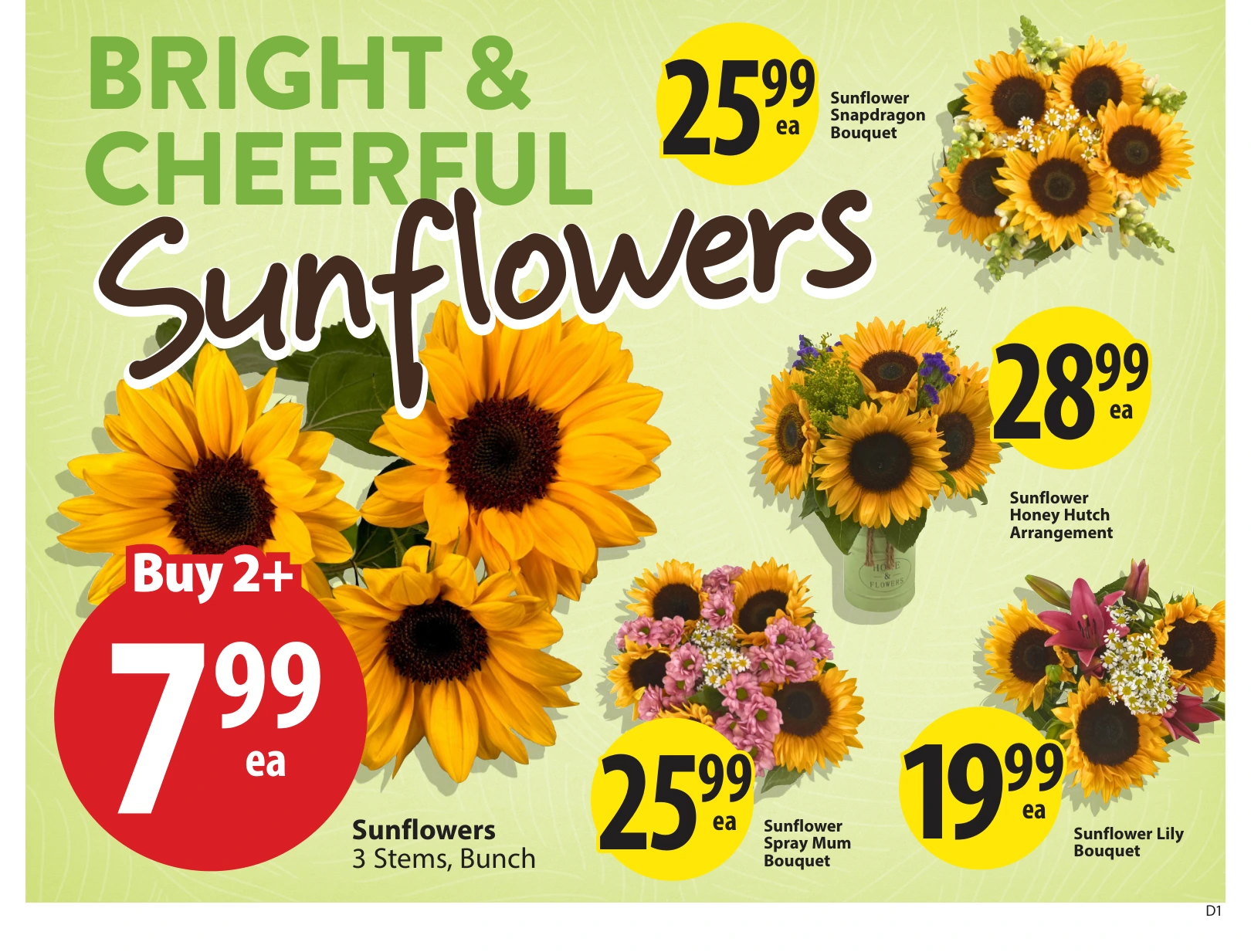 Flyer page 9