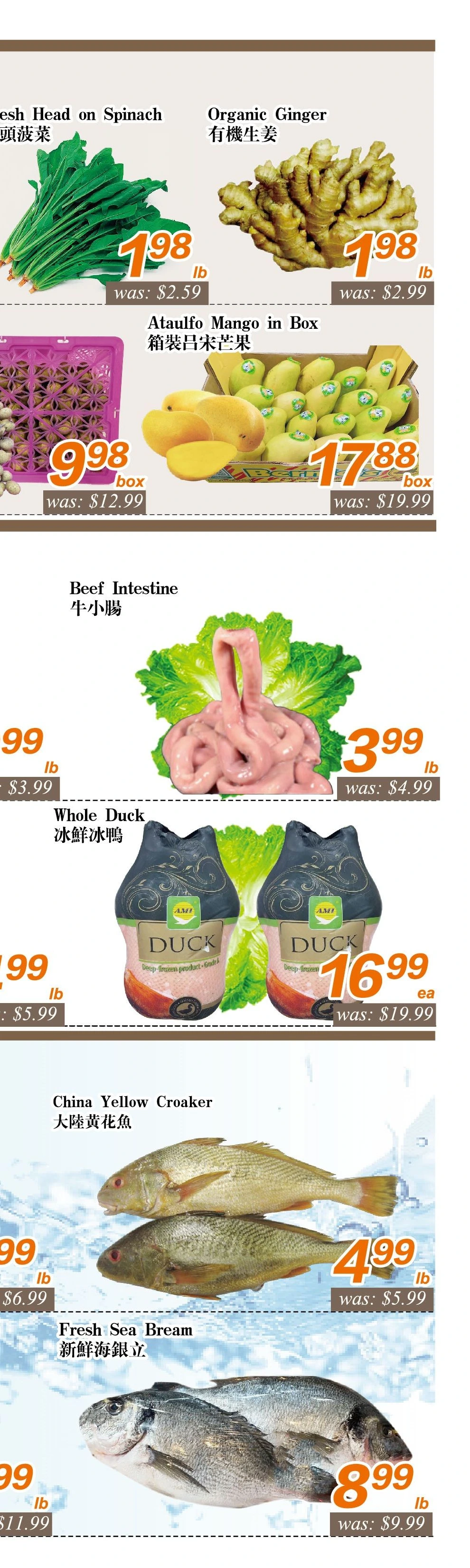 Flyer page 6