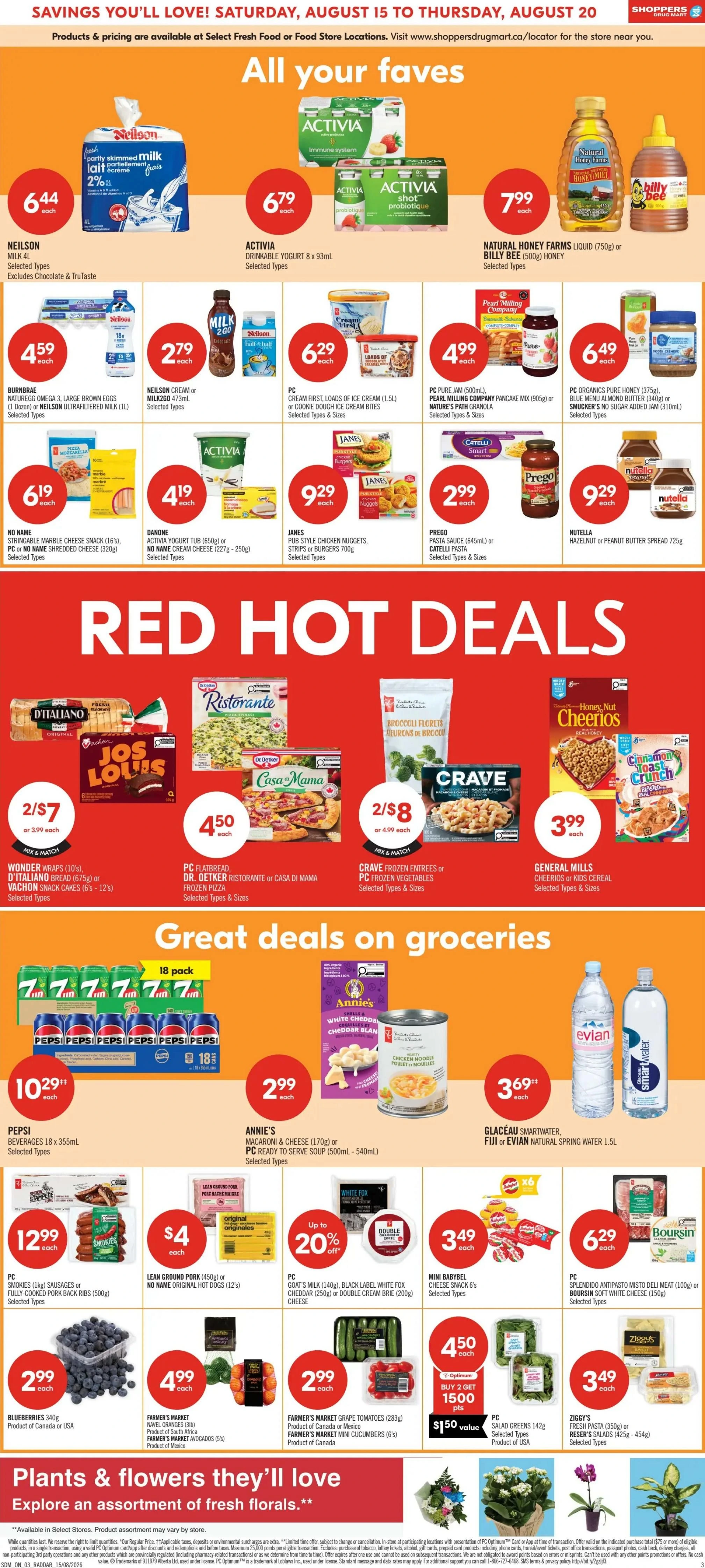 Flyer page 5