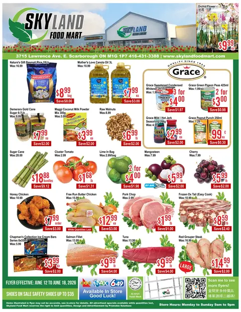 Weekly Flyer
