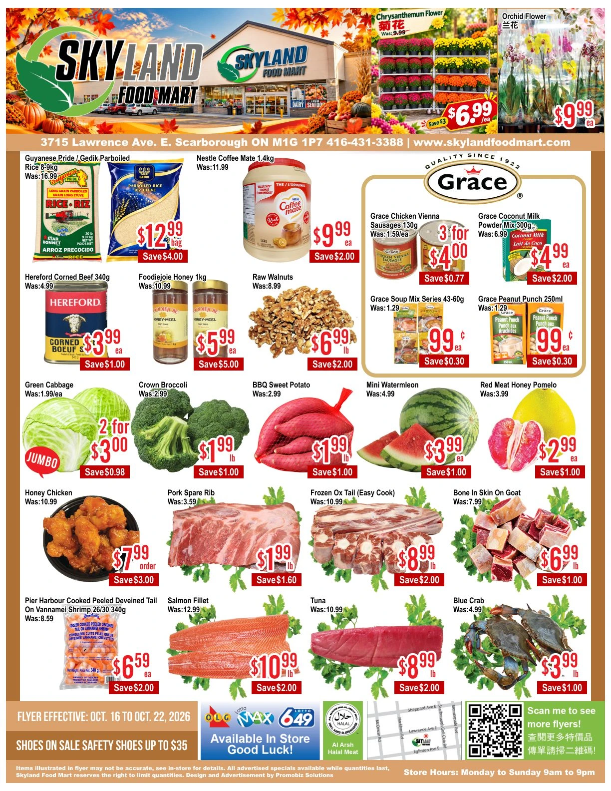 Skyland Food Mart Scarborough Weekly Flyer - Page 1