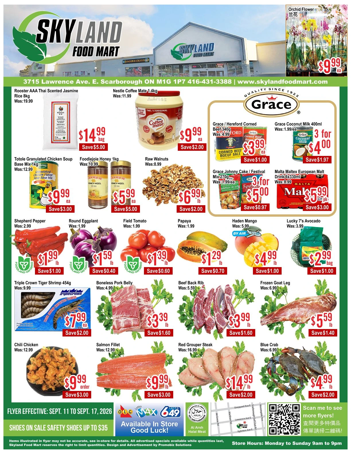 Skyland Food Mart Scarborough Weekly Flyer - Page 1