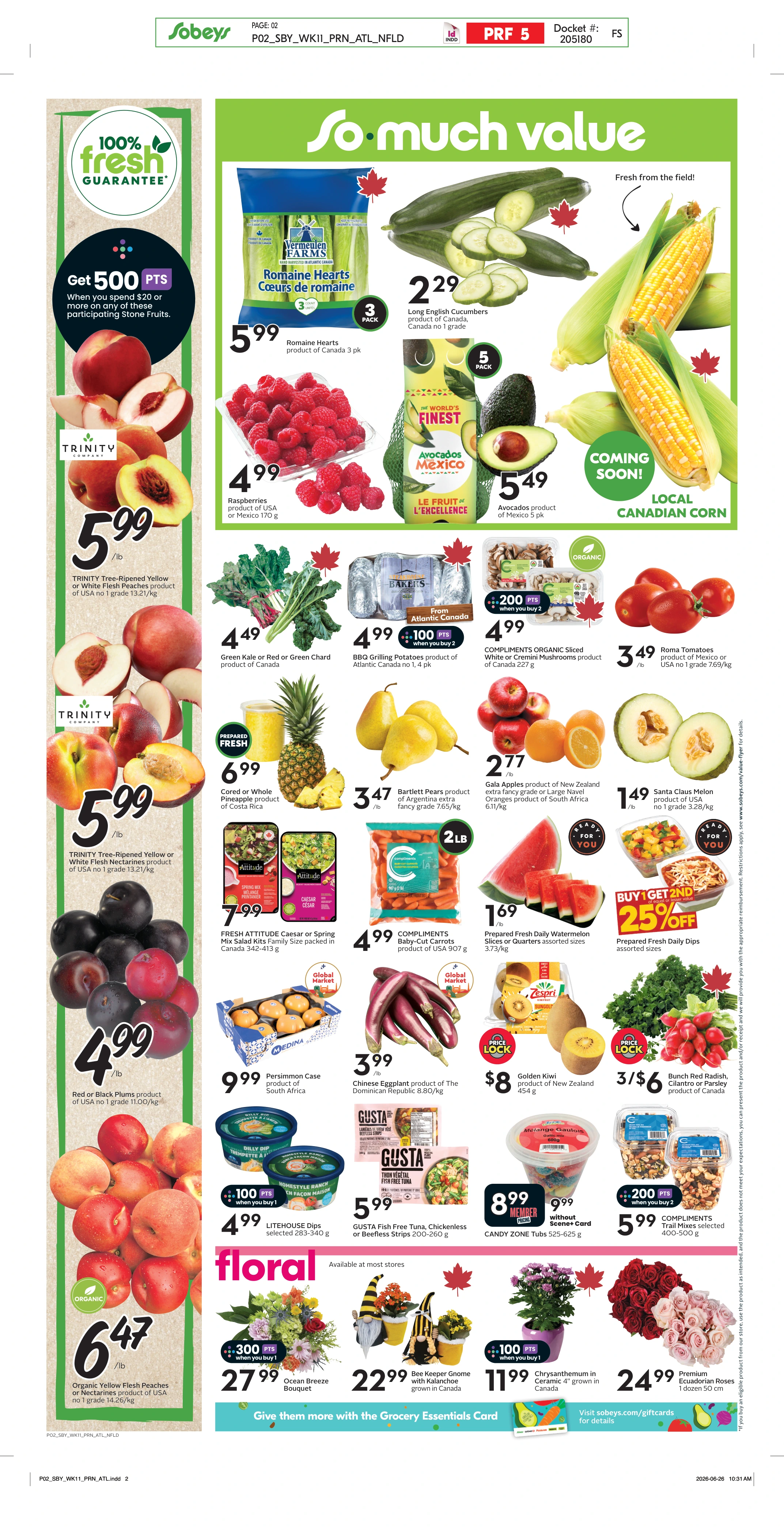 Flyer page 5