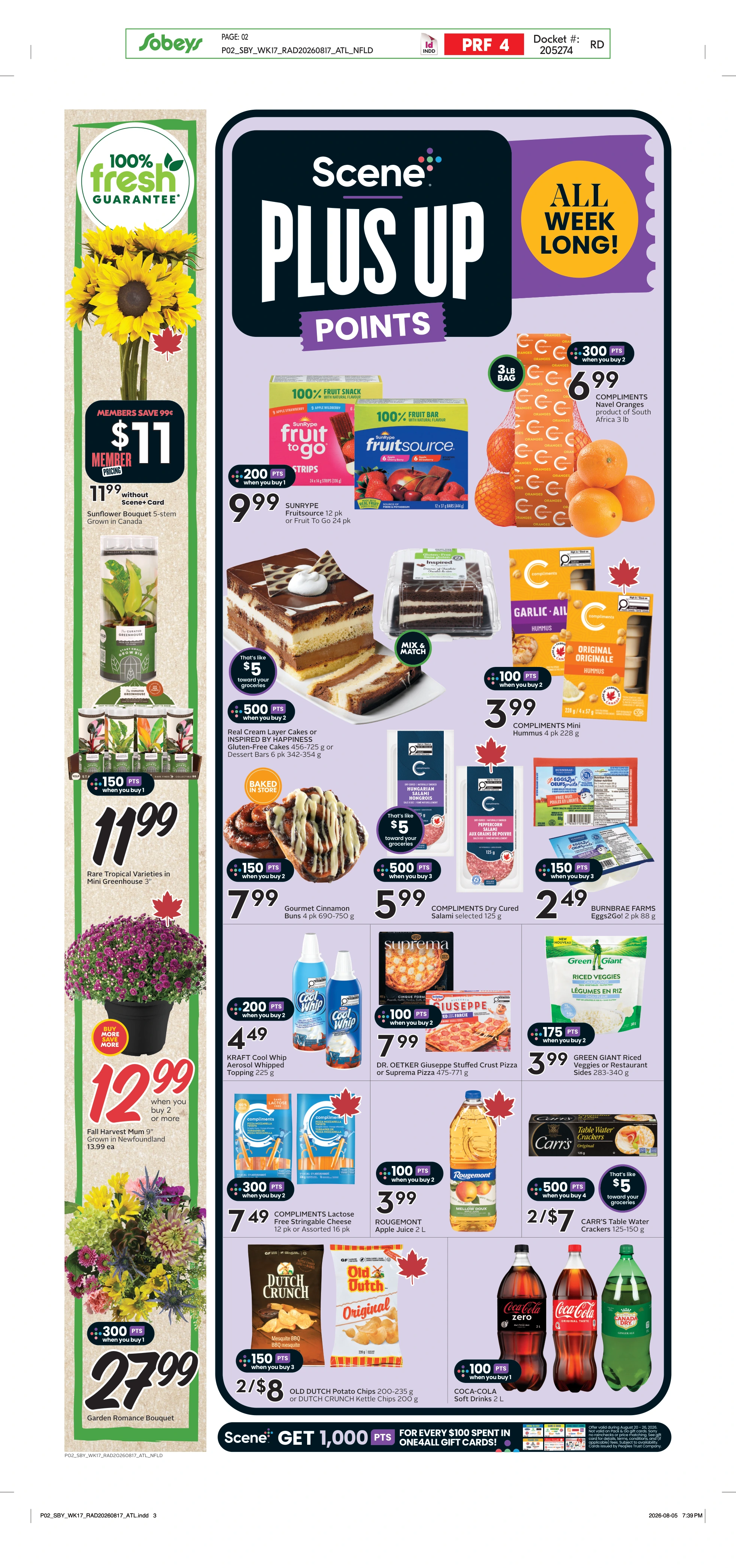 Flyer page 3