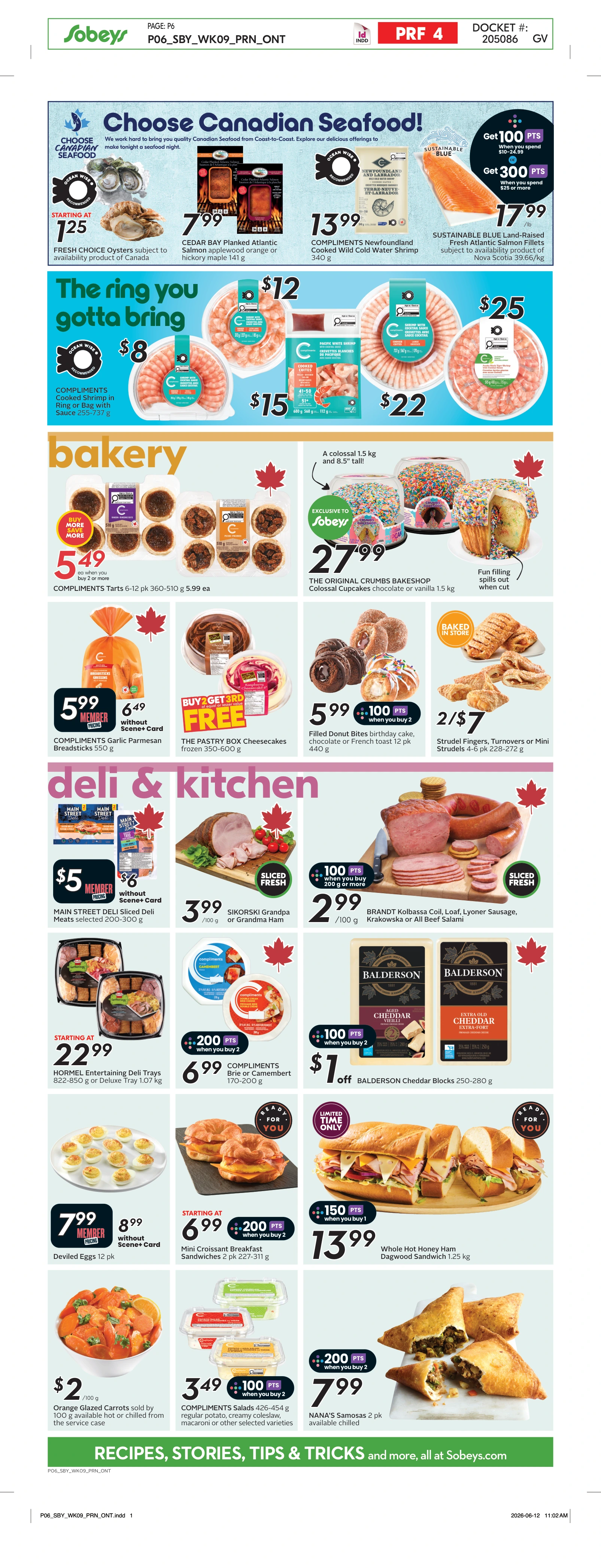 Flyer page 9