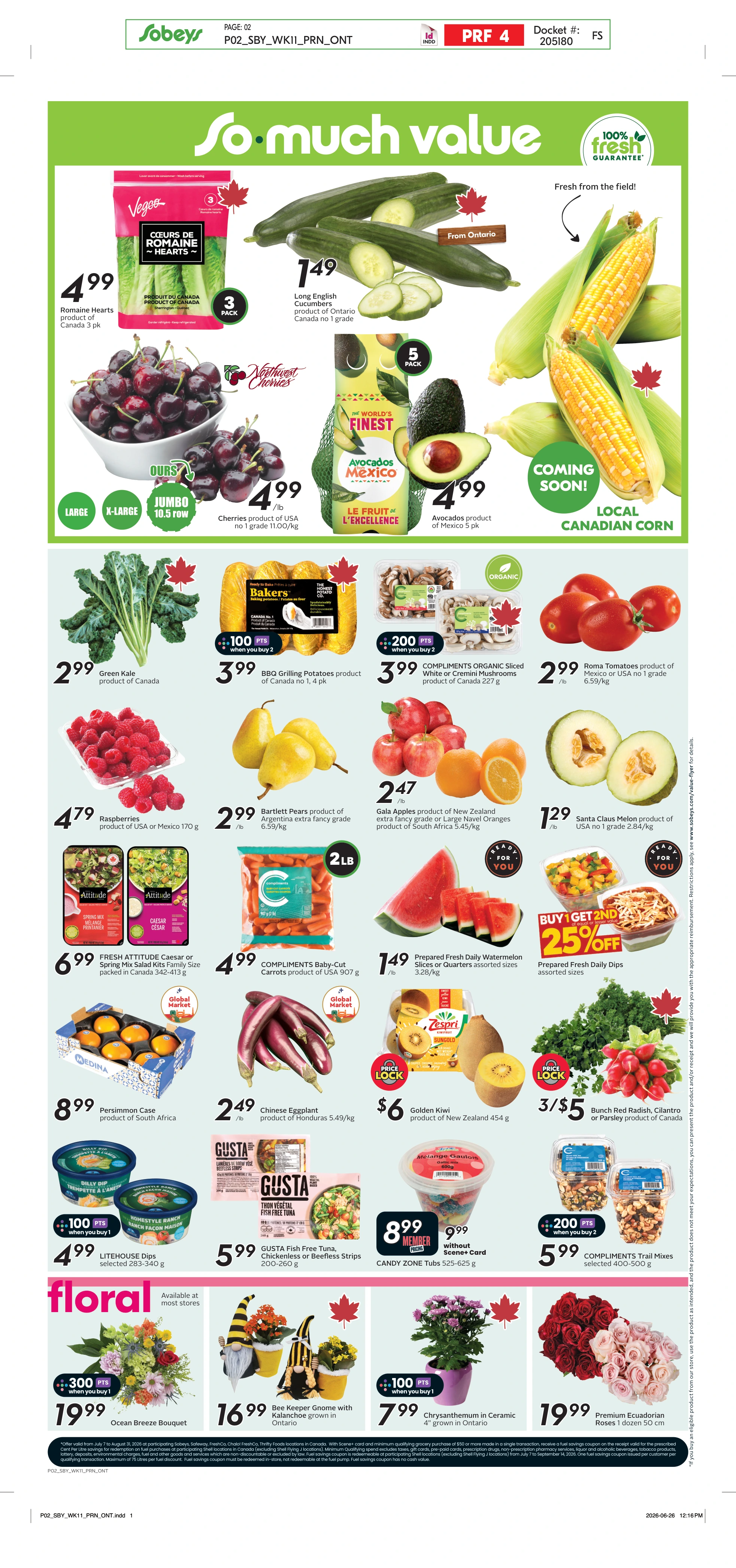 Flyer page 5
