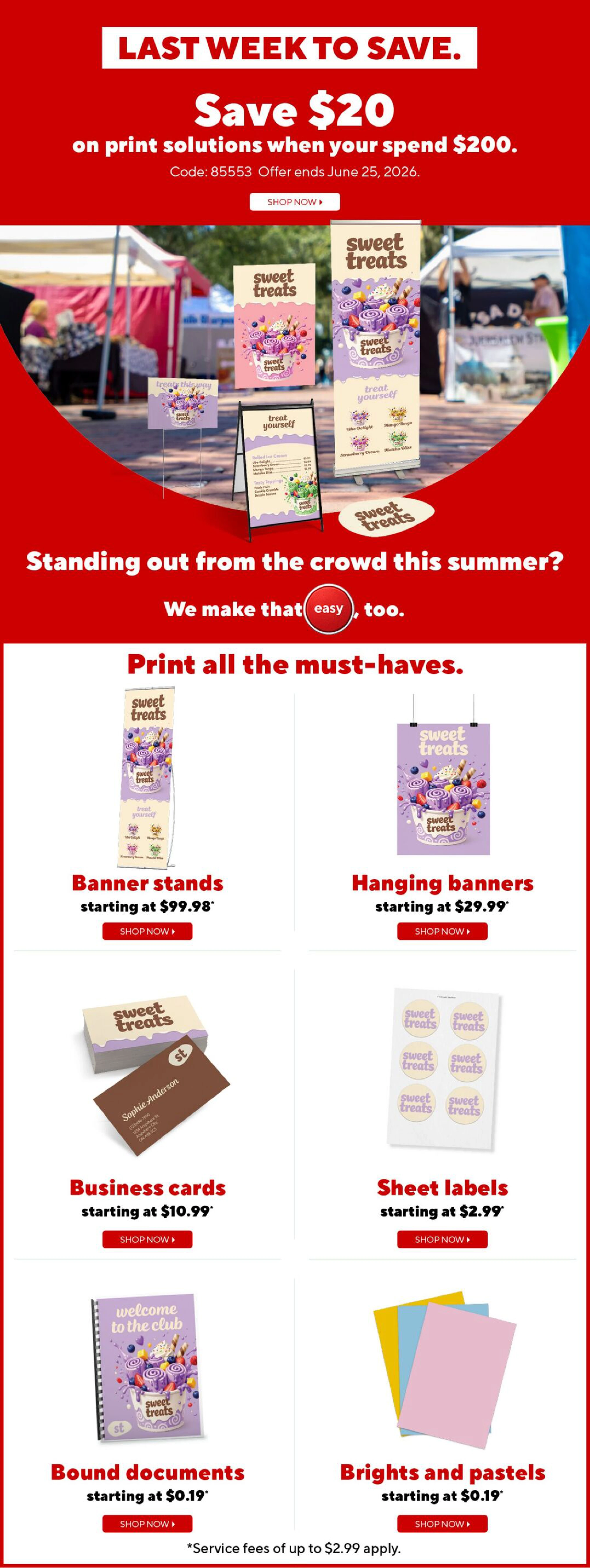 Flyer page 8