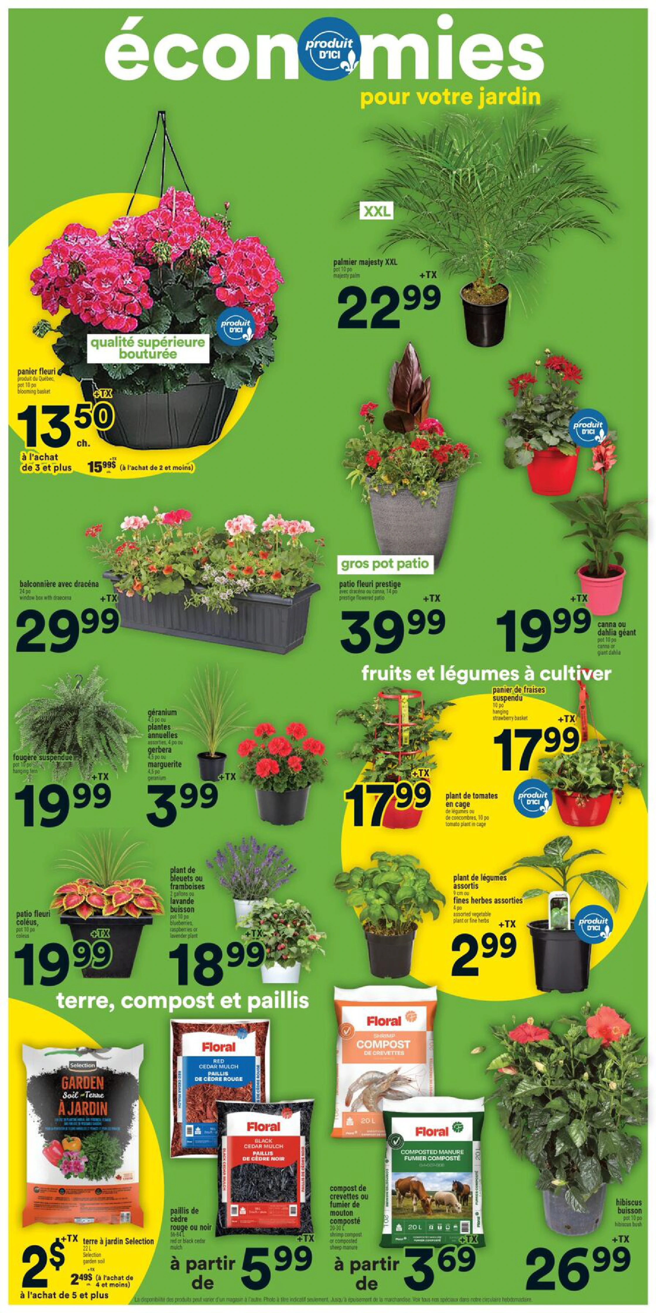 Flyer page 11