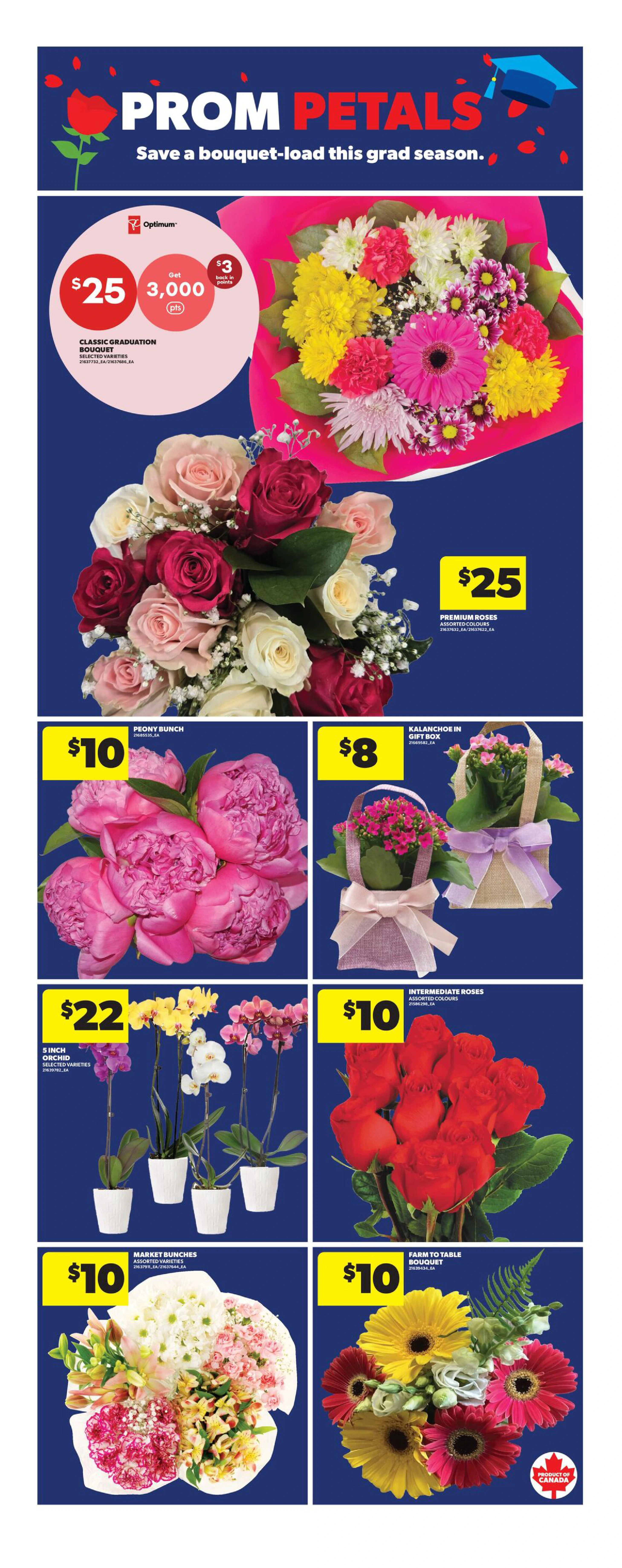 Flyer page 21