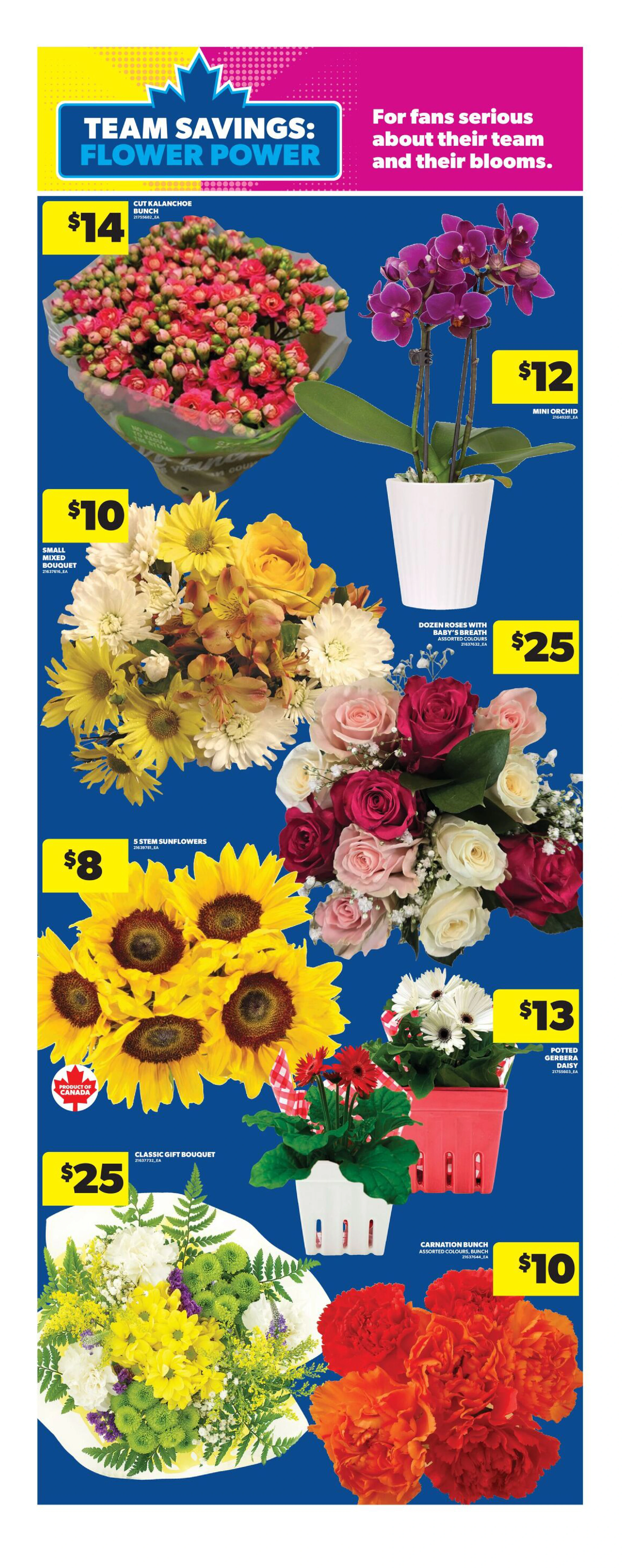 Flyer page 13