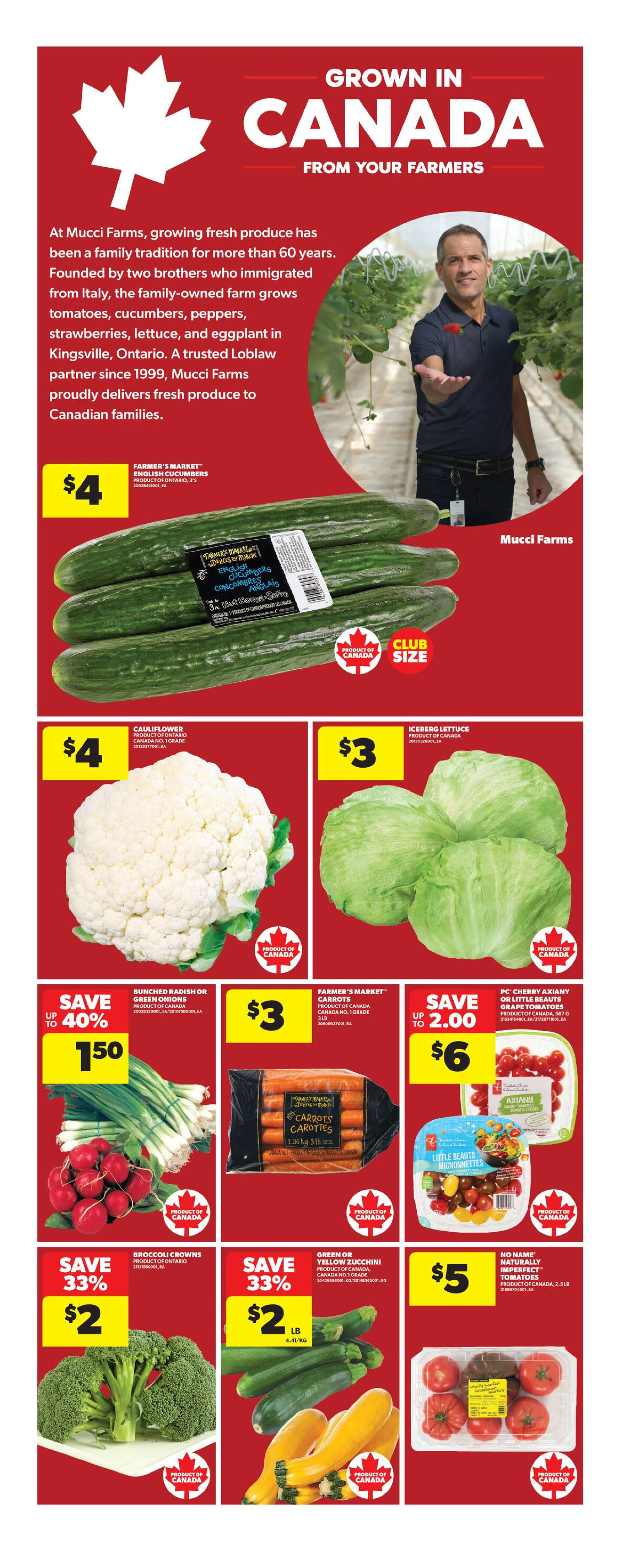 Flyer page 11