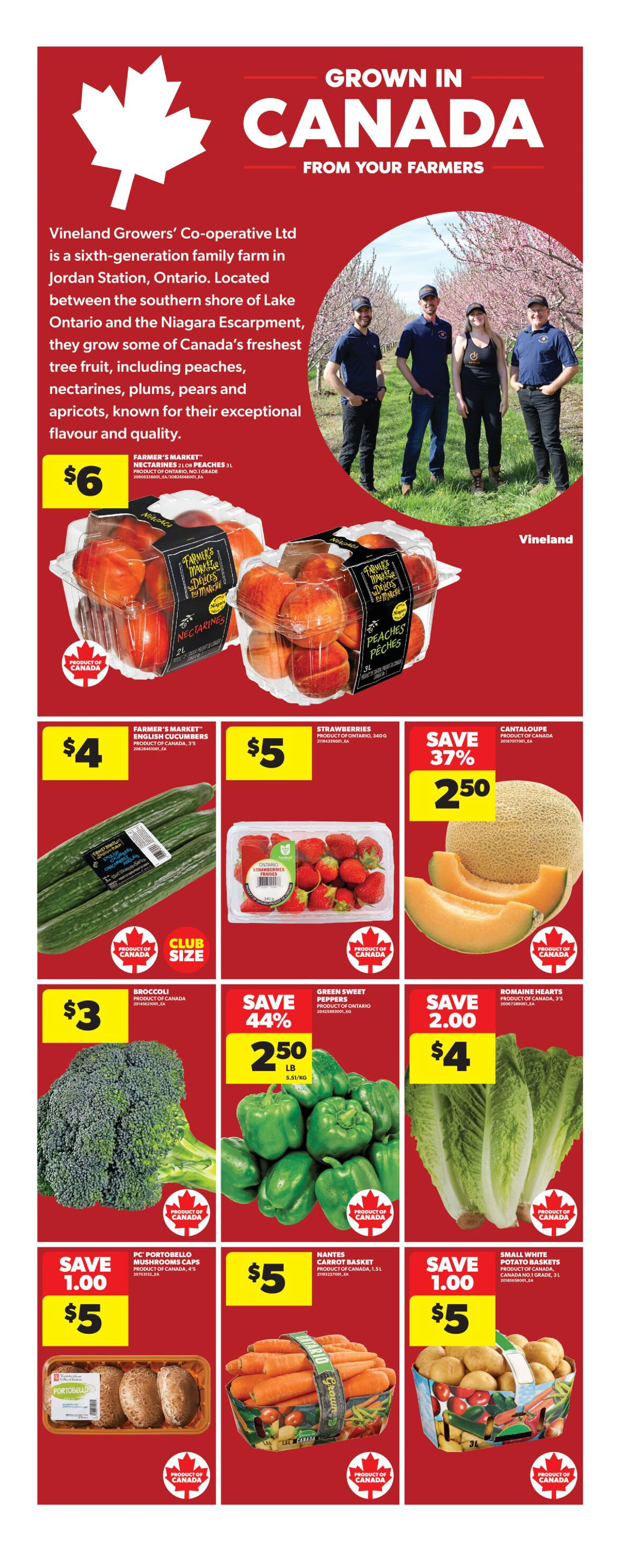 Flyer page 17