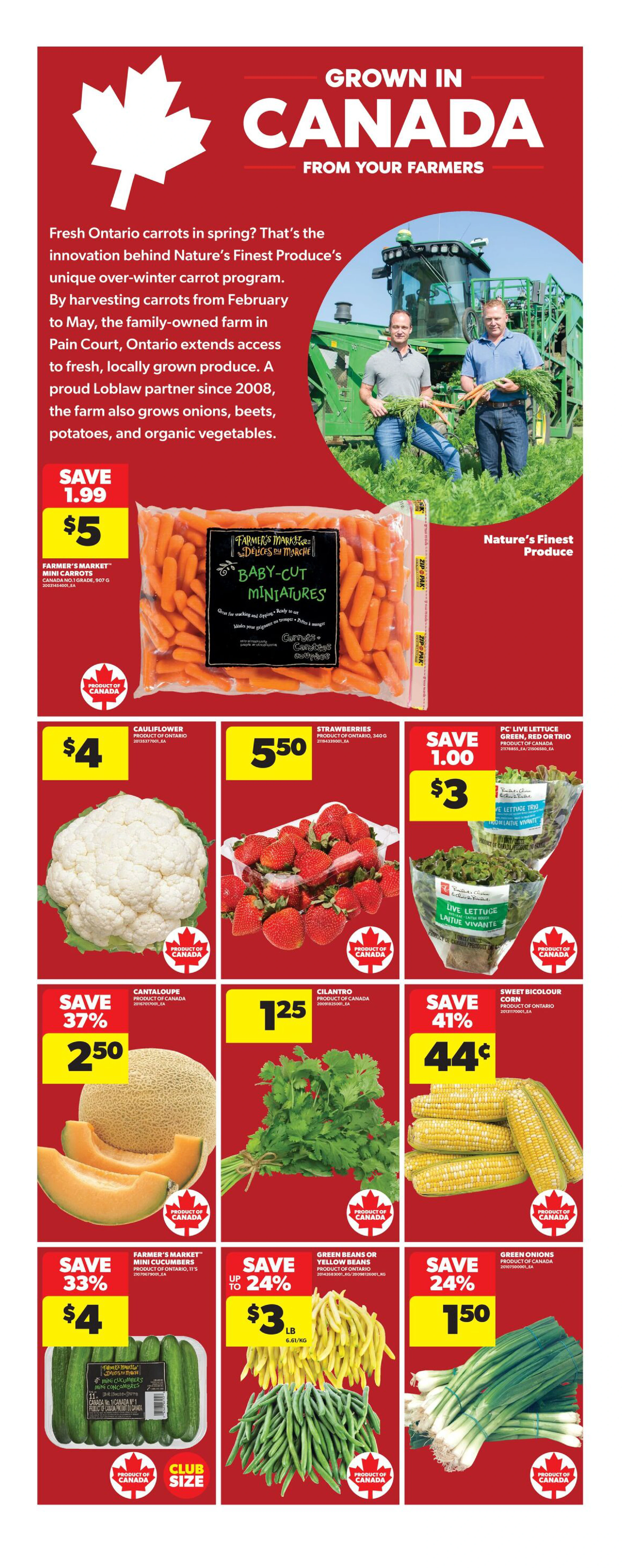 Flyer page 11