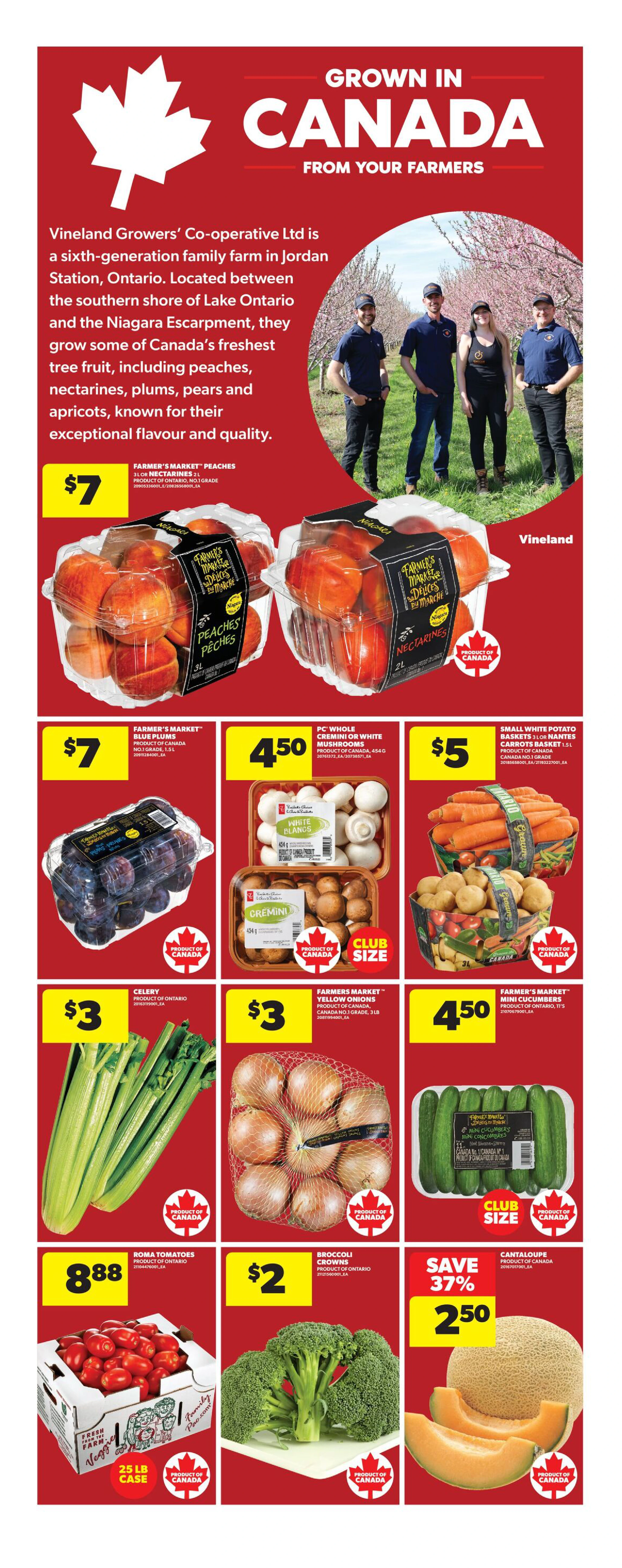 Flyer page 16