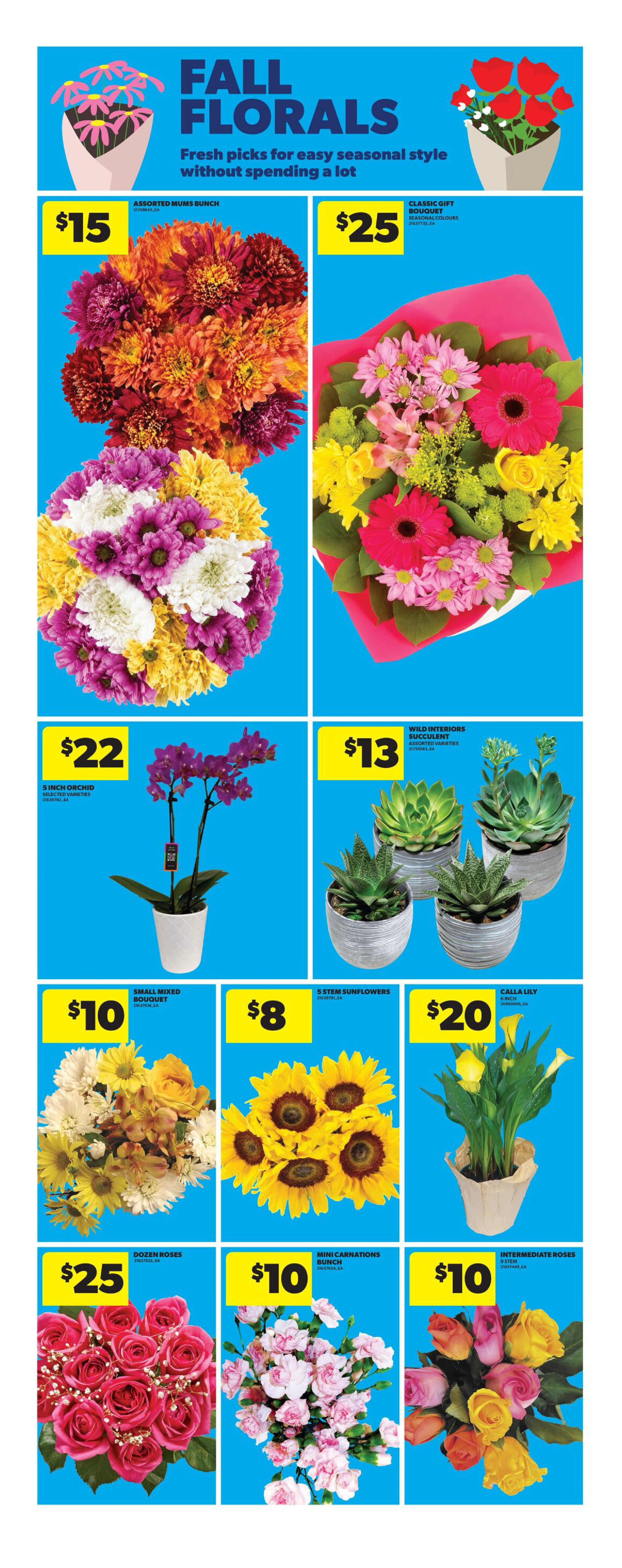 Flyer page 18