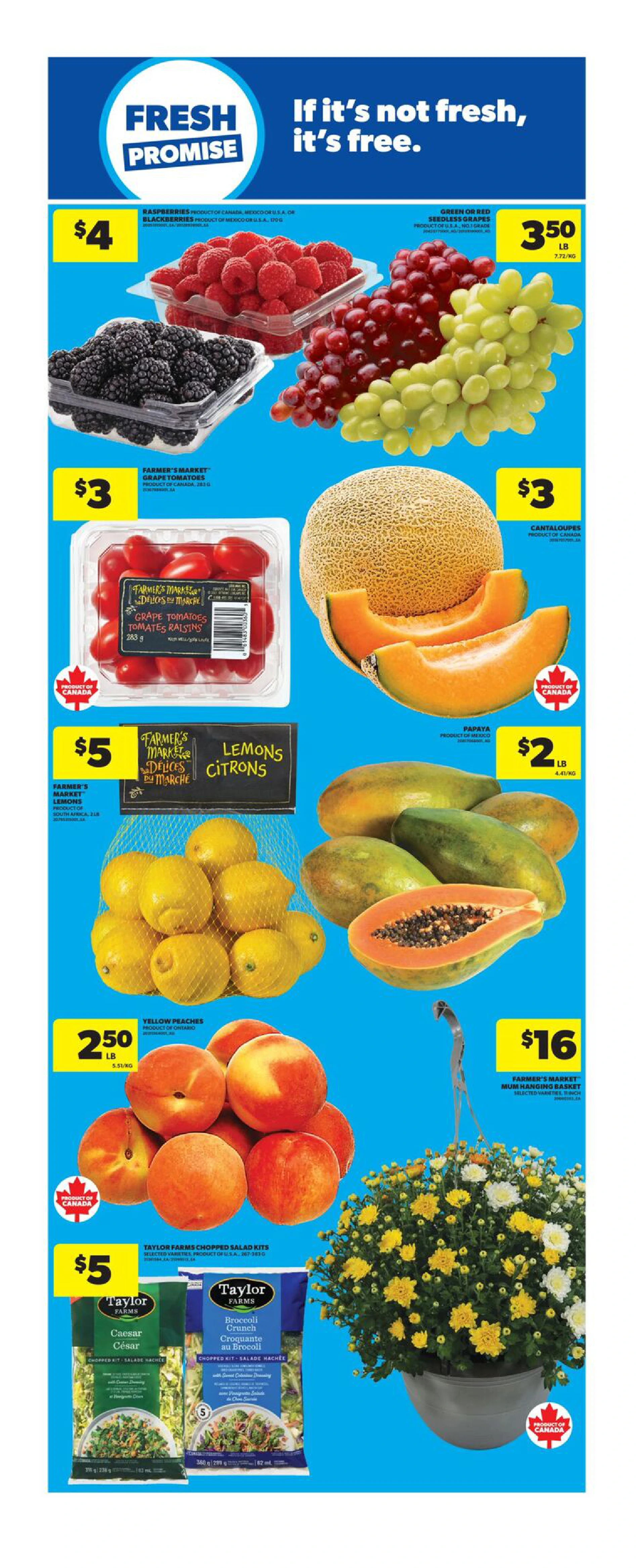 Superstore Ontario Weekly Flyer - Valid Thursday, September 10 - Wednesday, September 16 - Page 9