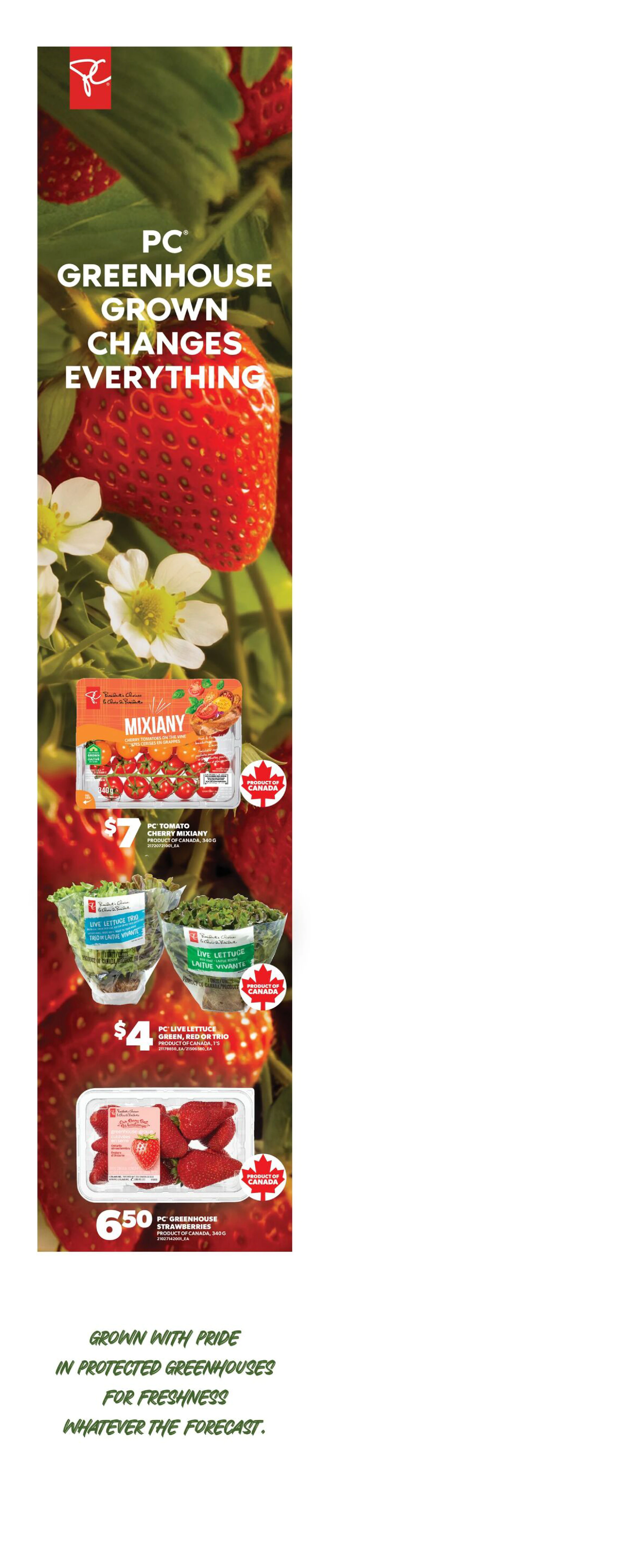 Superstore Ontario Weekly Flyer - Valid Thursday, October 8 - Wednesday, October 14 - Page 4
