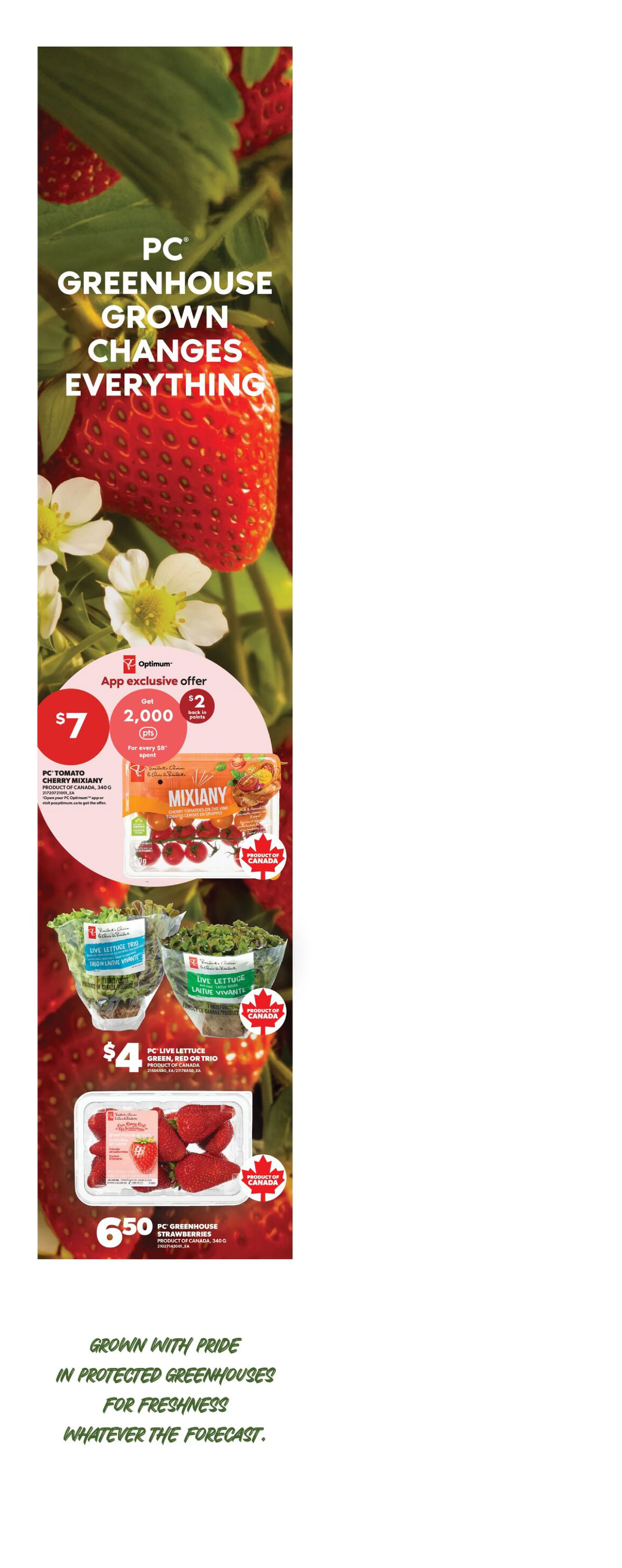 Superstore Ontario Weekly Flyer - Valid Thursday, October 15- Wednesday, October 21 - Page 6