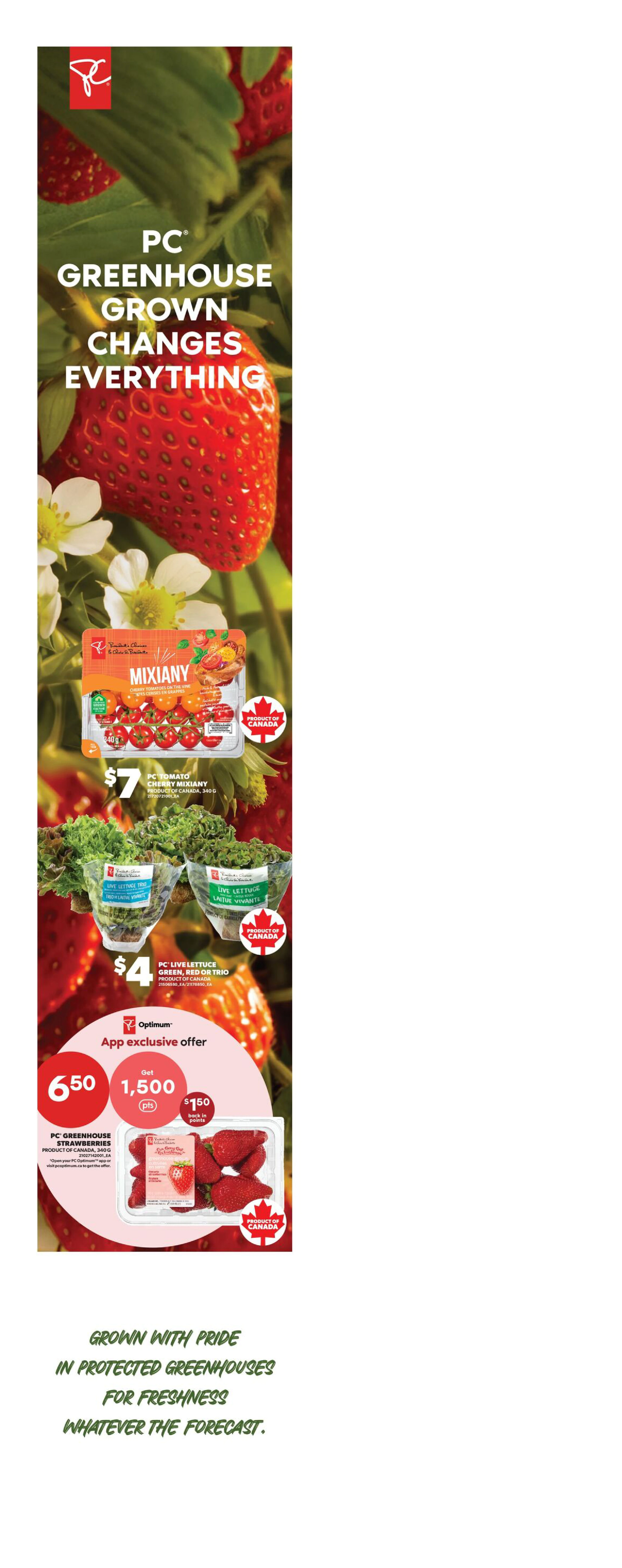 Superstore Ontario Weekly Flyer - Valid Thursday, October 29 - Wednesday, November 04 - Page 5