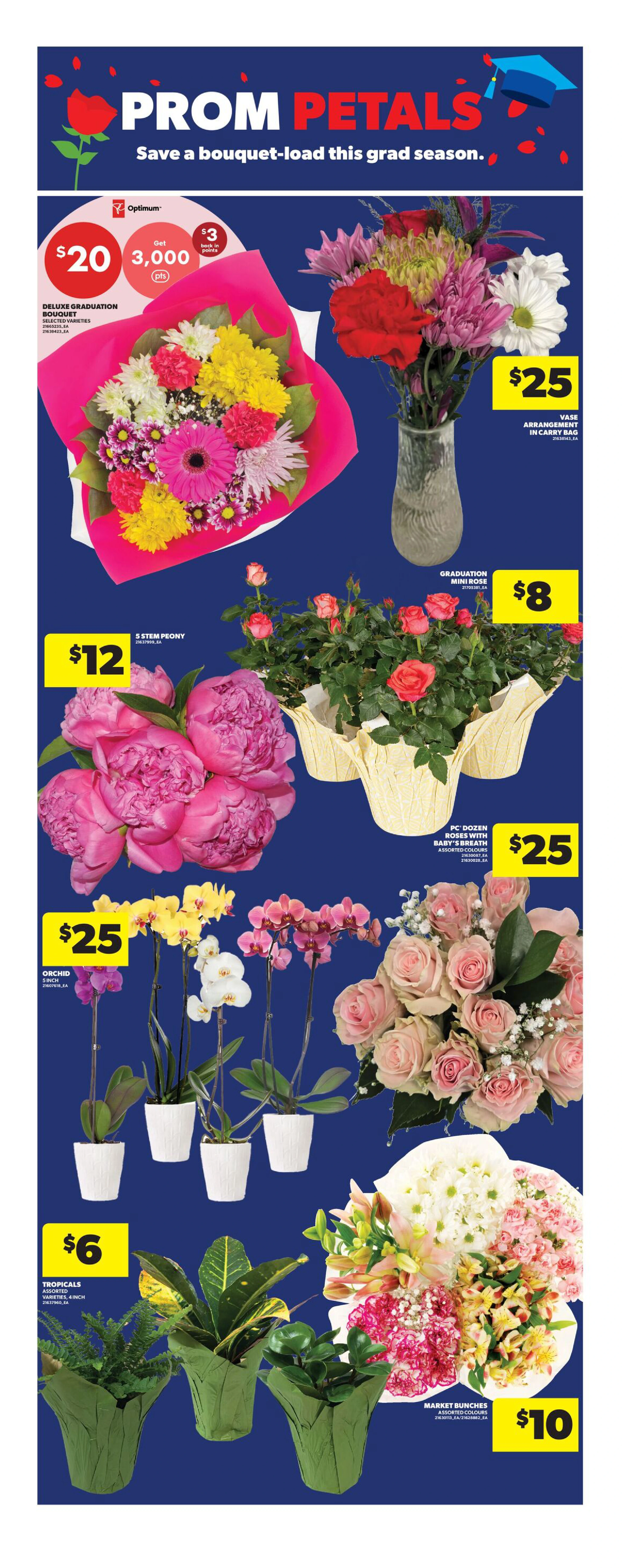 Flyer page 17