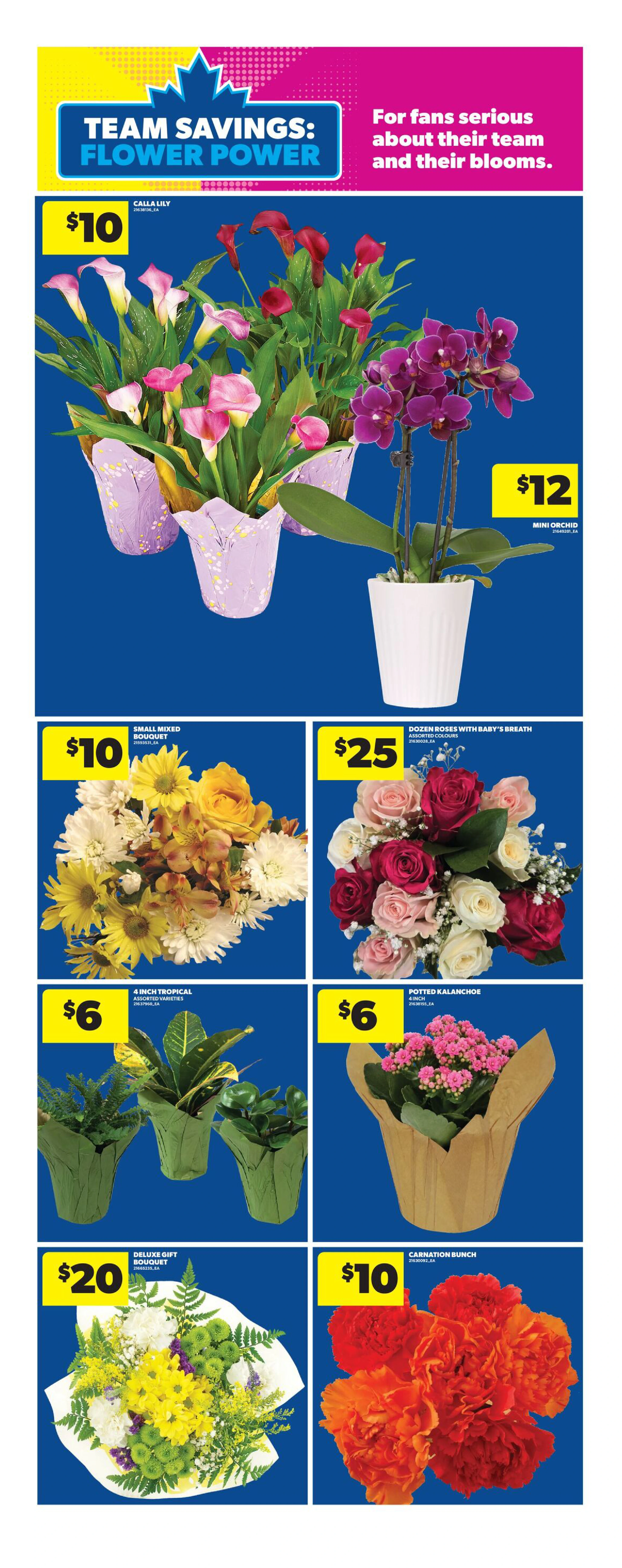 Flyer page 13