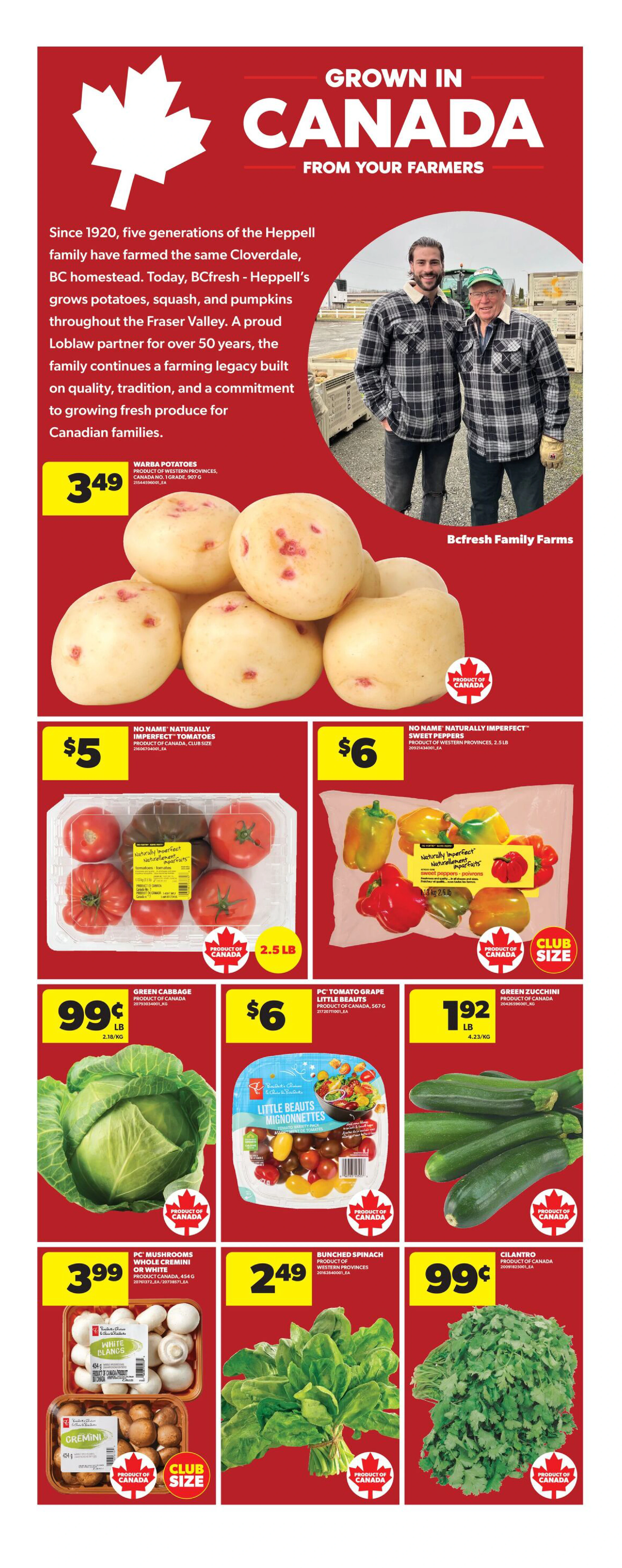 Flyer page 12