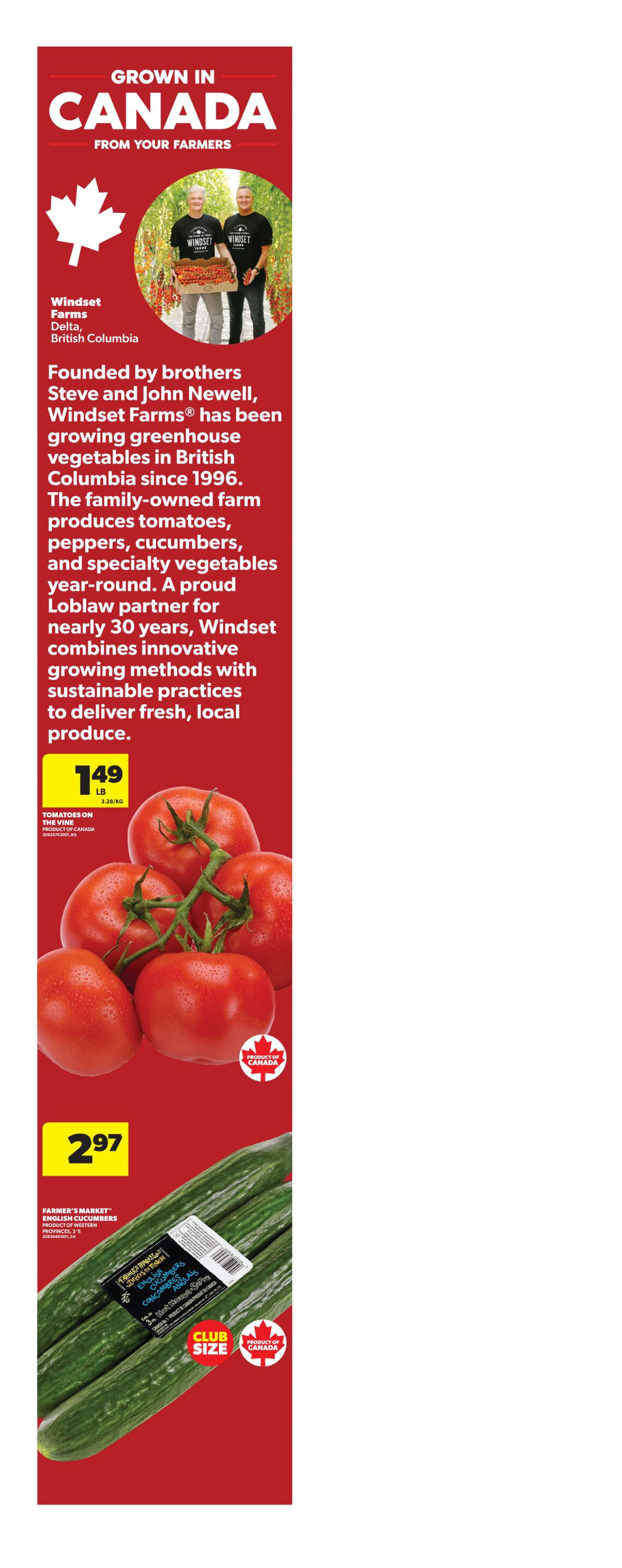 Flyer page 3