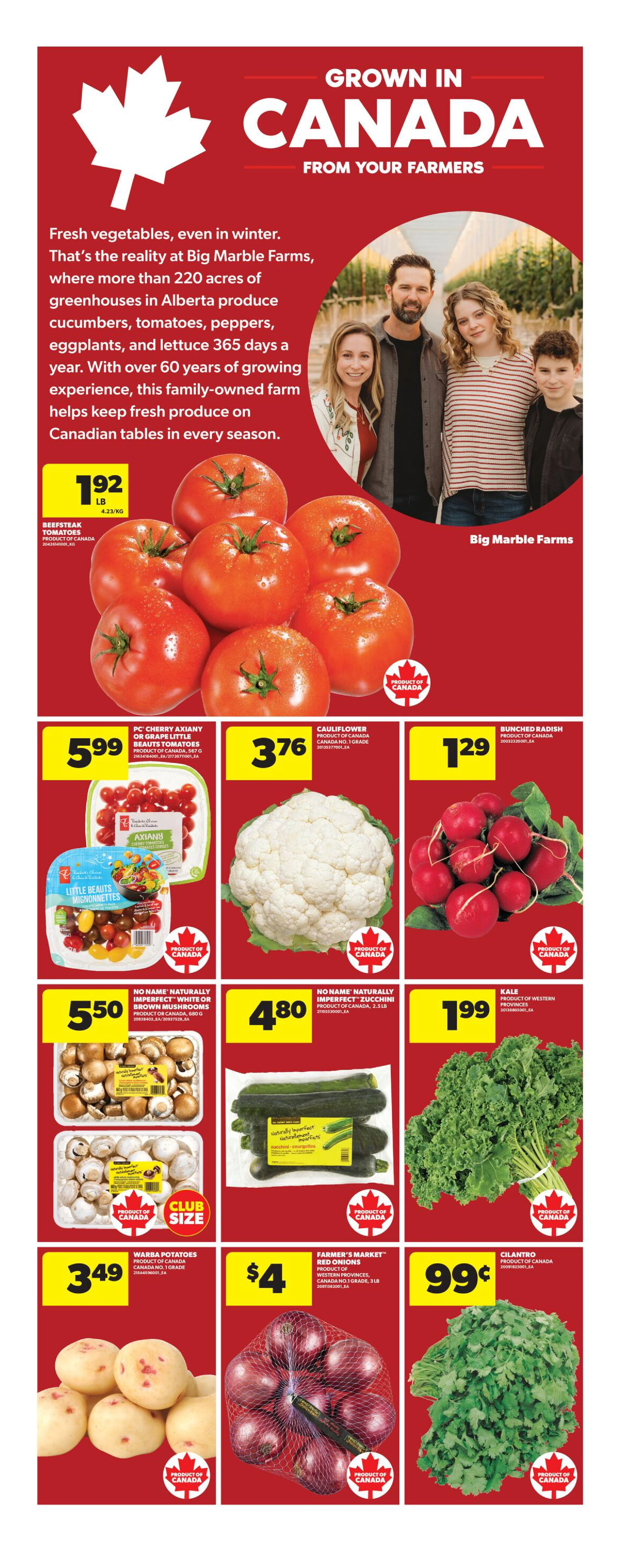Flyer page 12
