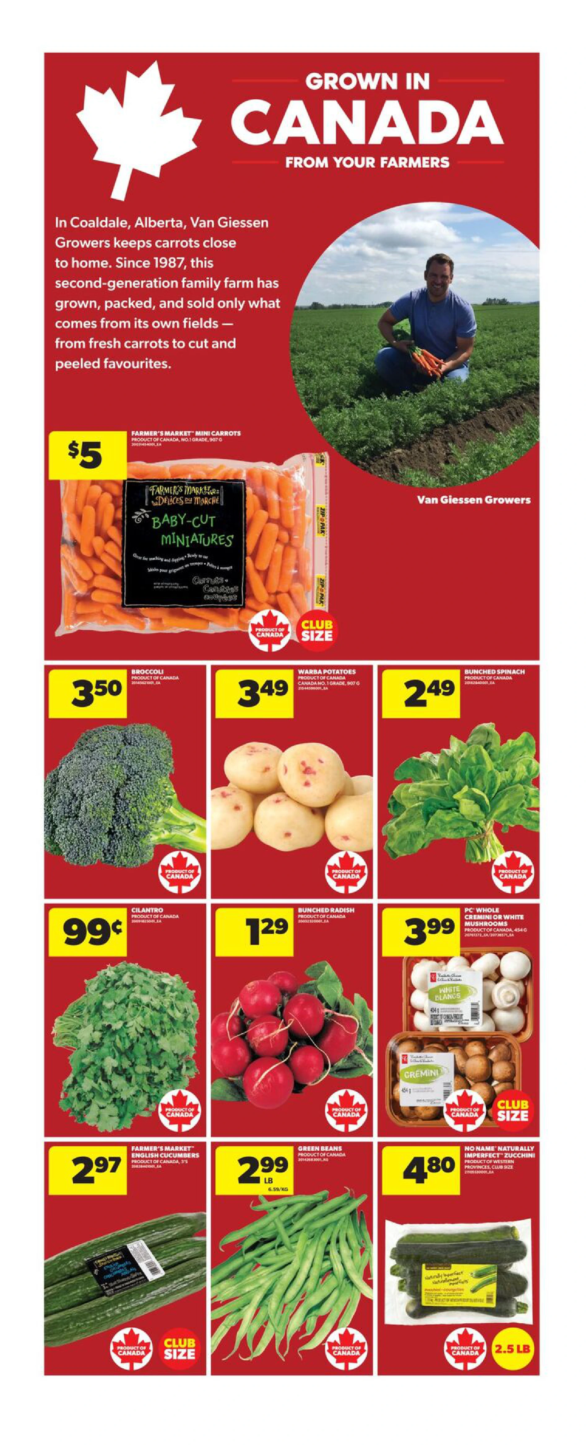 Flyer page 13
