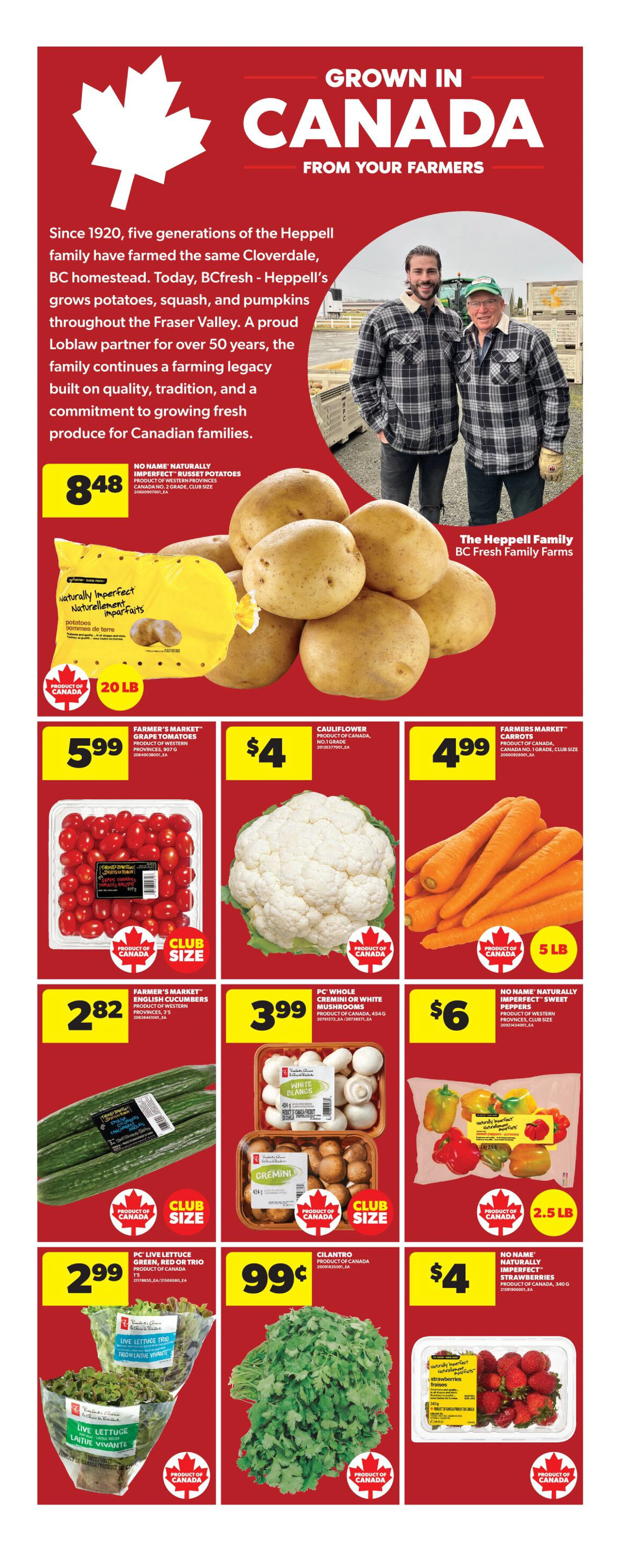 Flyer page 11