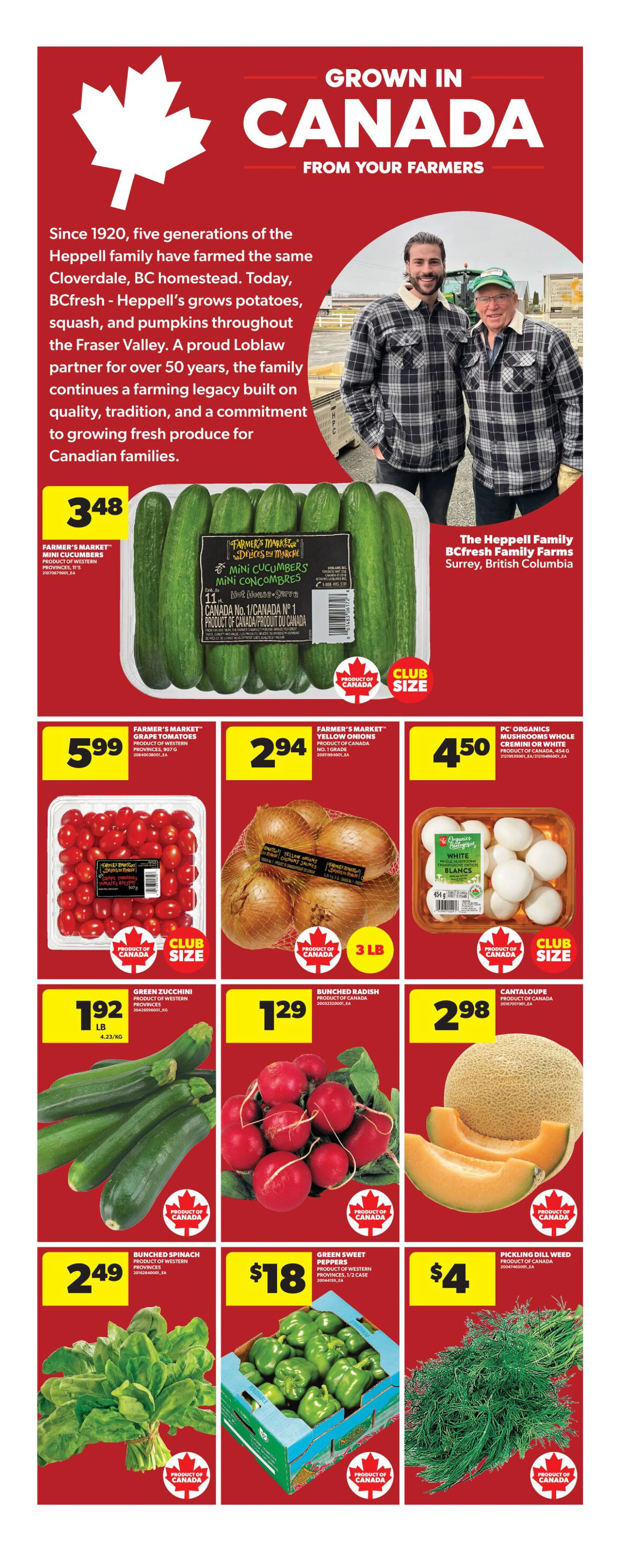 Flyer page 12