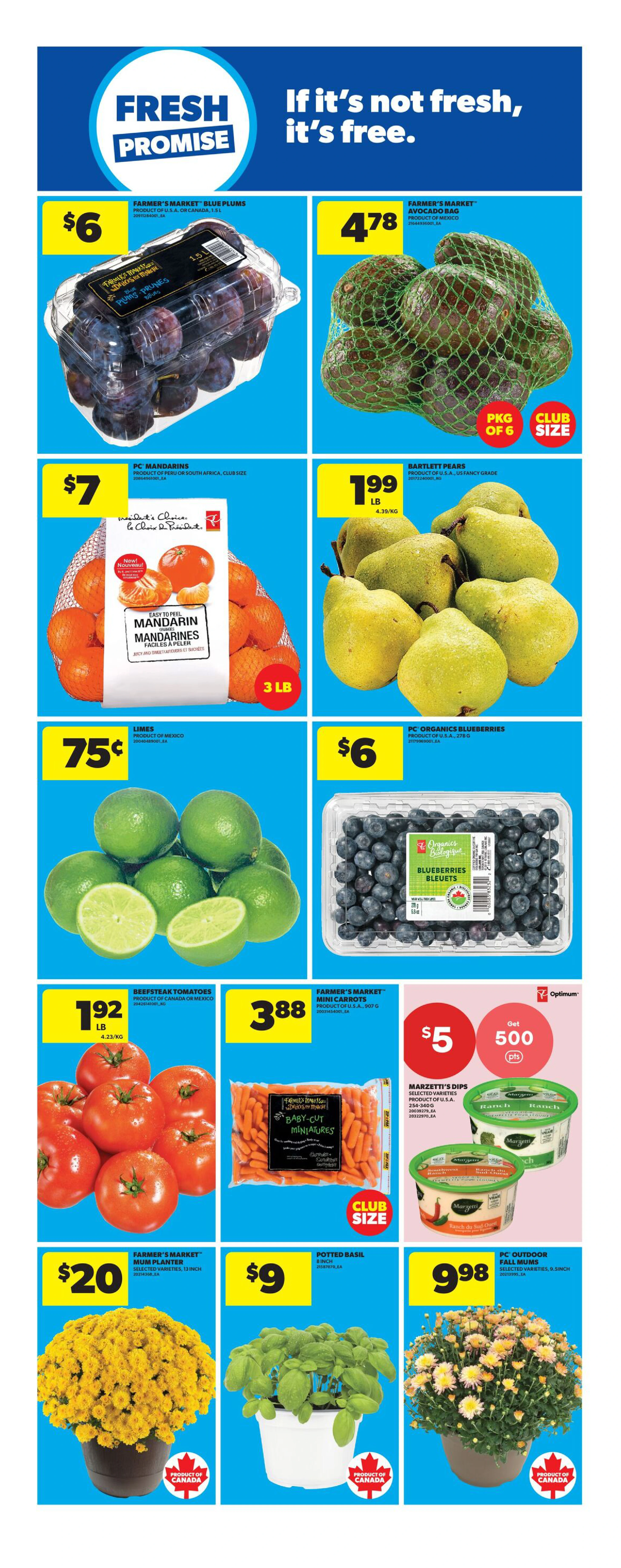 Flyer page 13