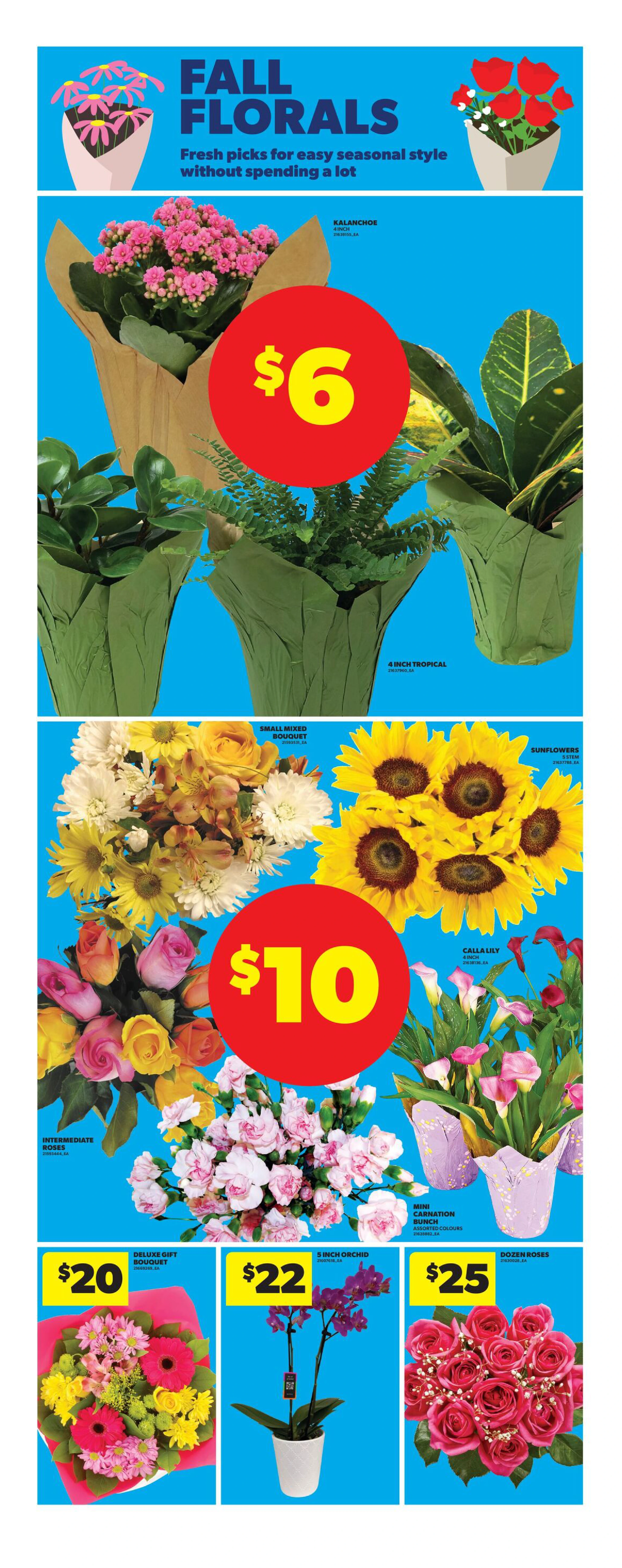Flyer page 14