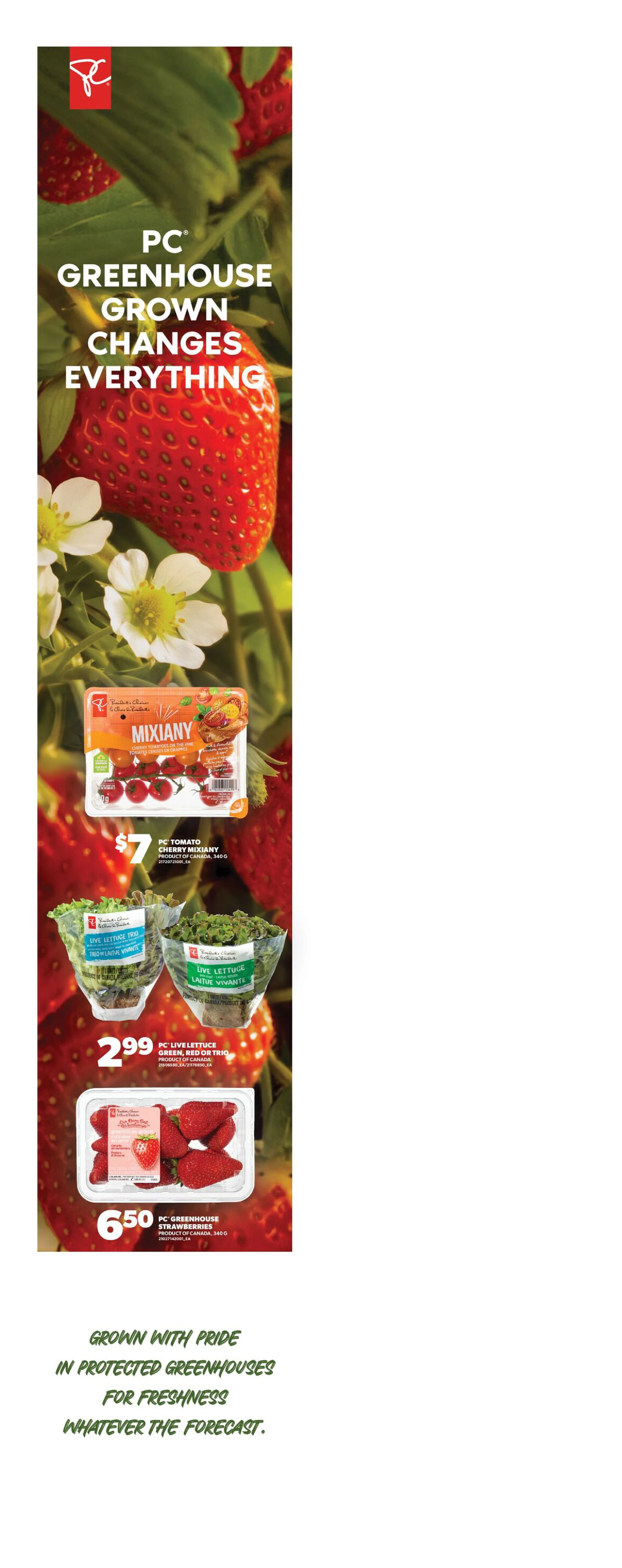 Superstore West Weekly Flyer - Valid Thursday, October 1 - Wednesday, October 7 - Page 5
