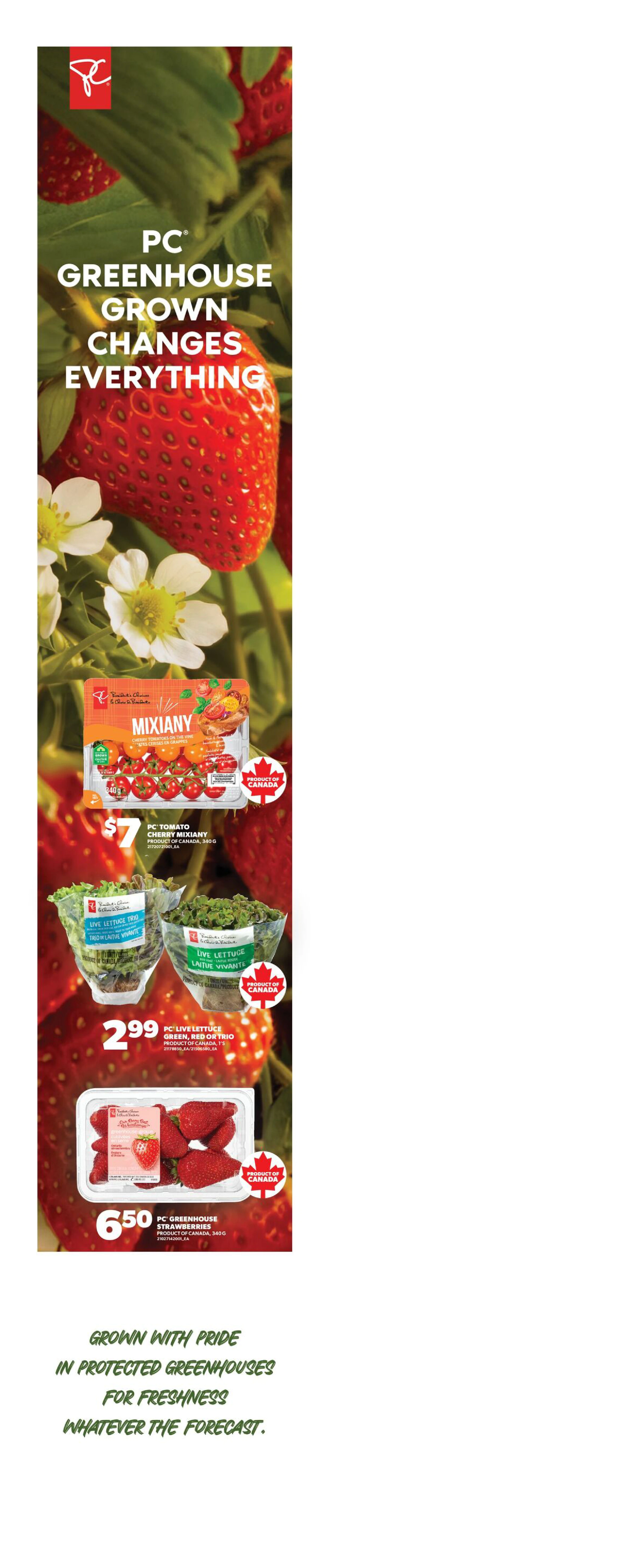 Superstore West Weekly Flyer - Valid Thursday, October 8 - Wednesday, October 14 - Page 5