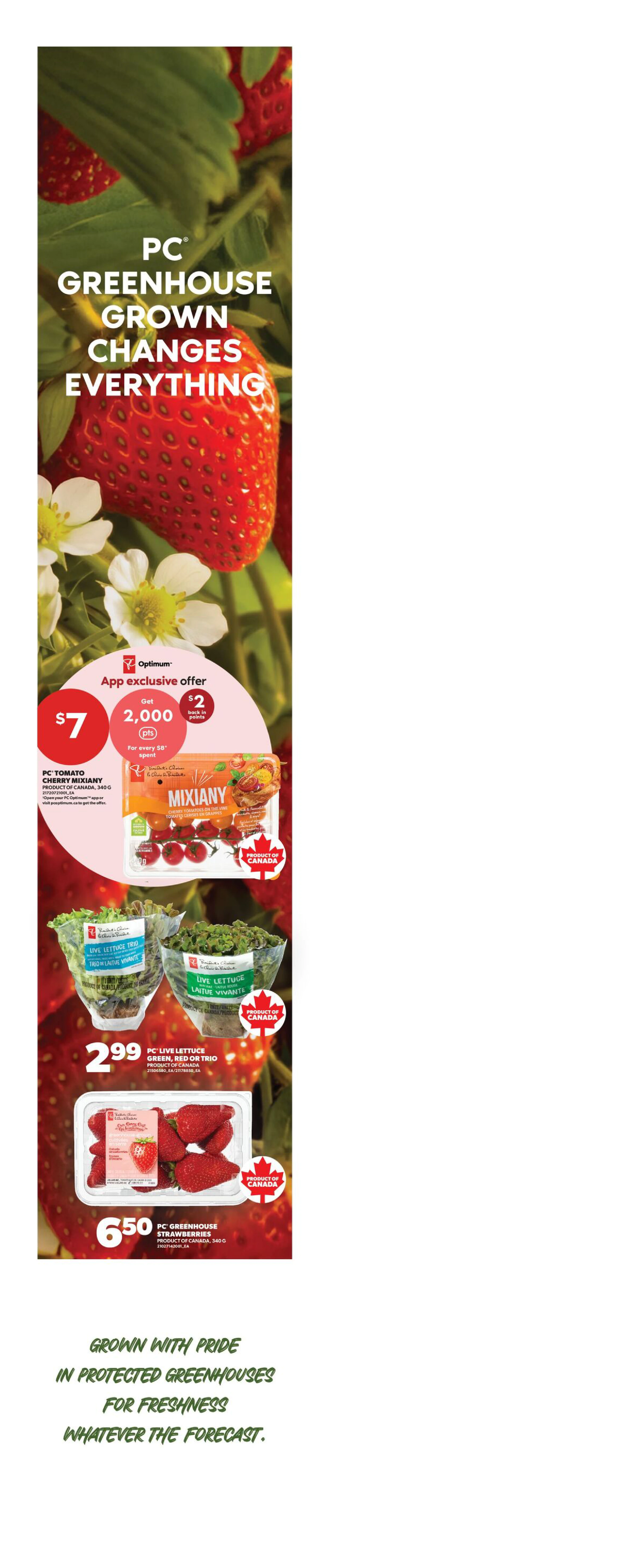 Superstore West Weekly Flyer - Valid Thursday, October 15- Wednesday, October 21 - Page 7