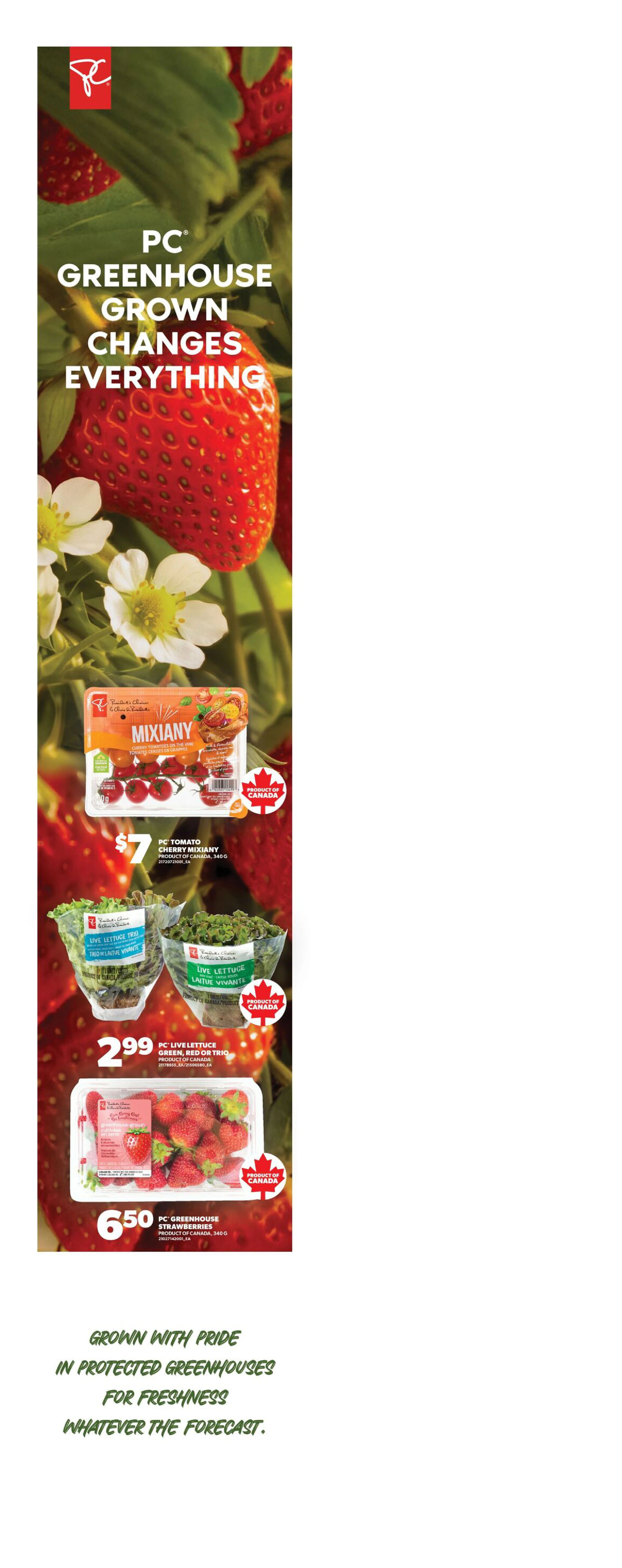 Superstore West Weekly Flyer - Valid Thursday, October 22 - Wednesday, October 28 - Page 6