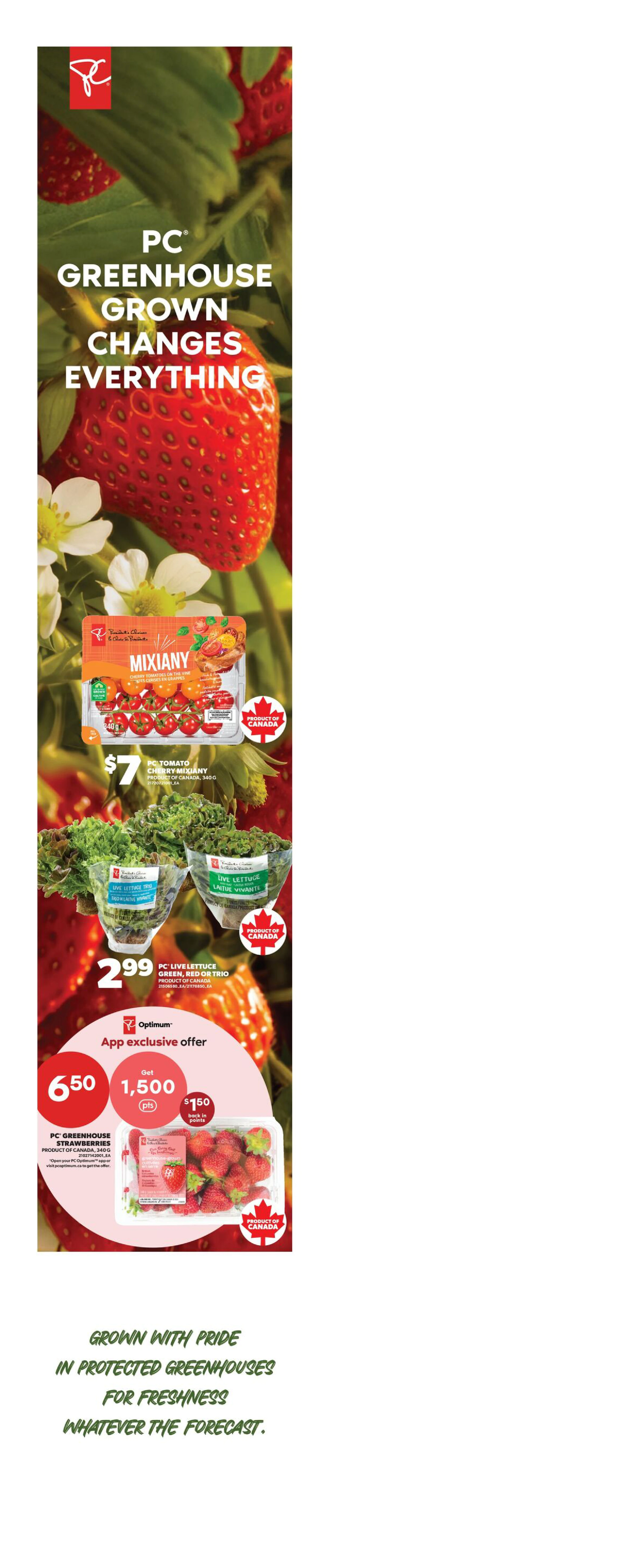 Superstore West Weekly Flyer - Valid Thursday, October 29 - Wednesday, November 04 - Page 6