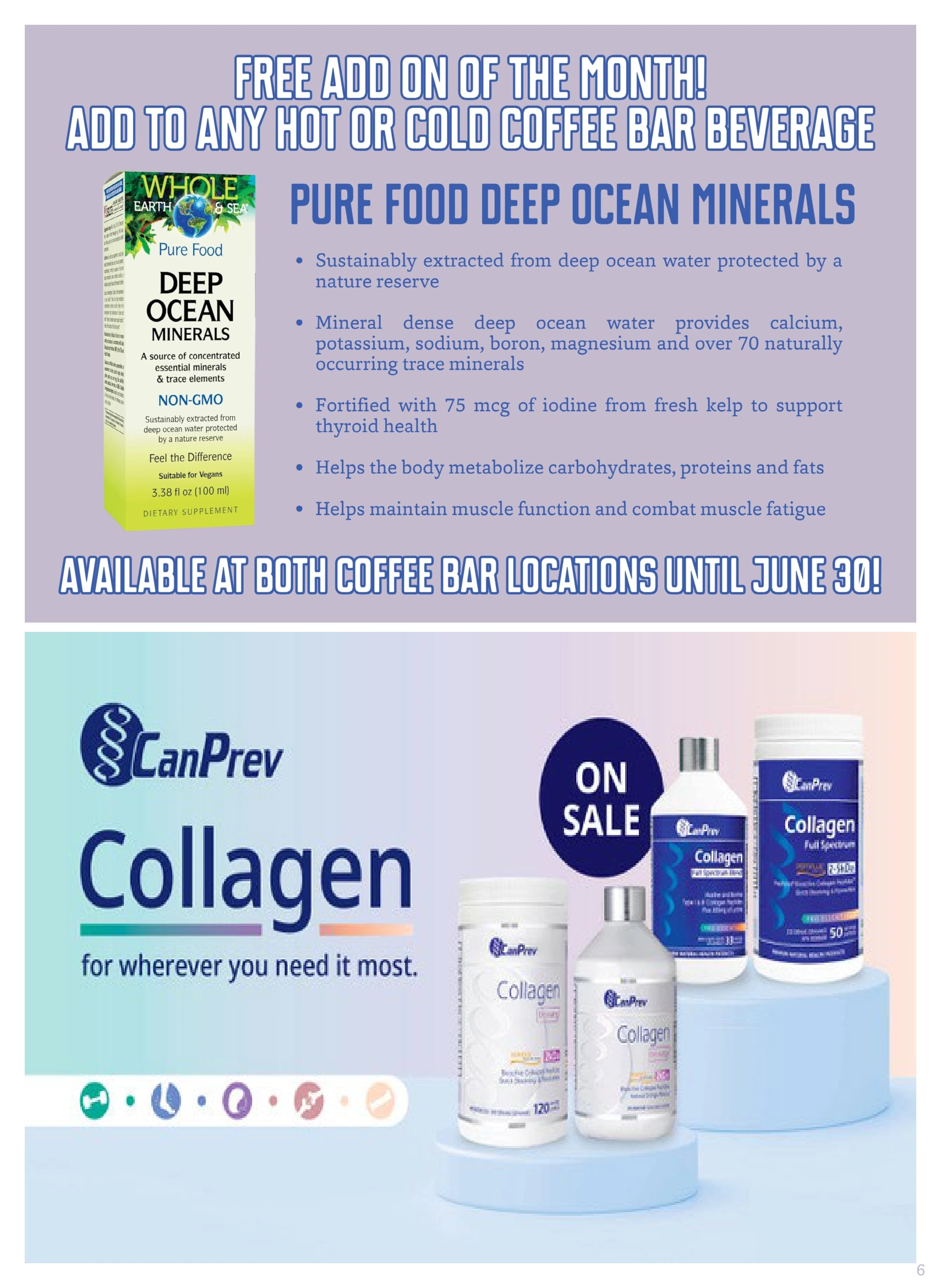 Flyer page 6