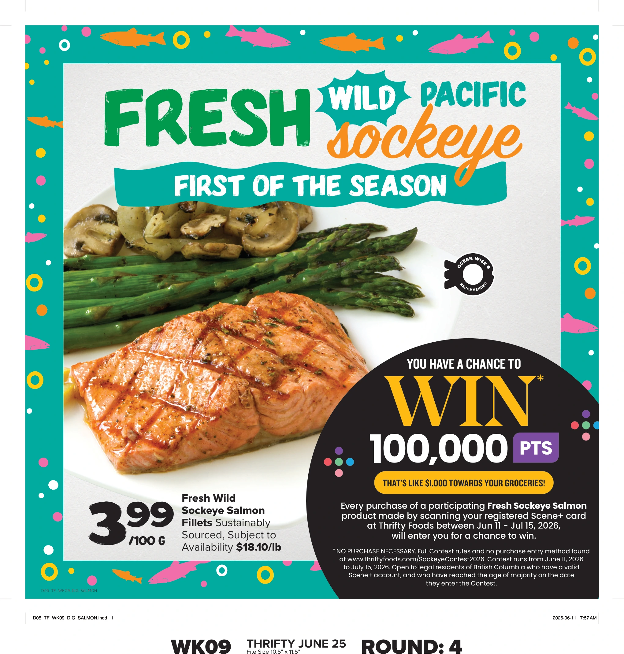 Flyer page 17