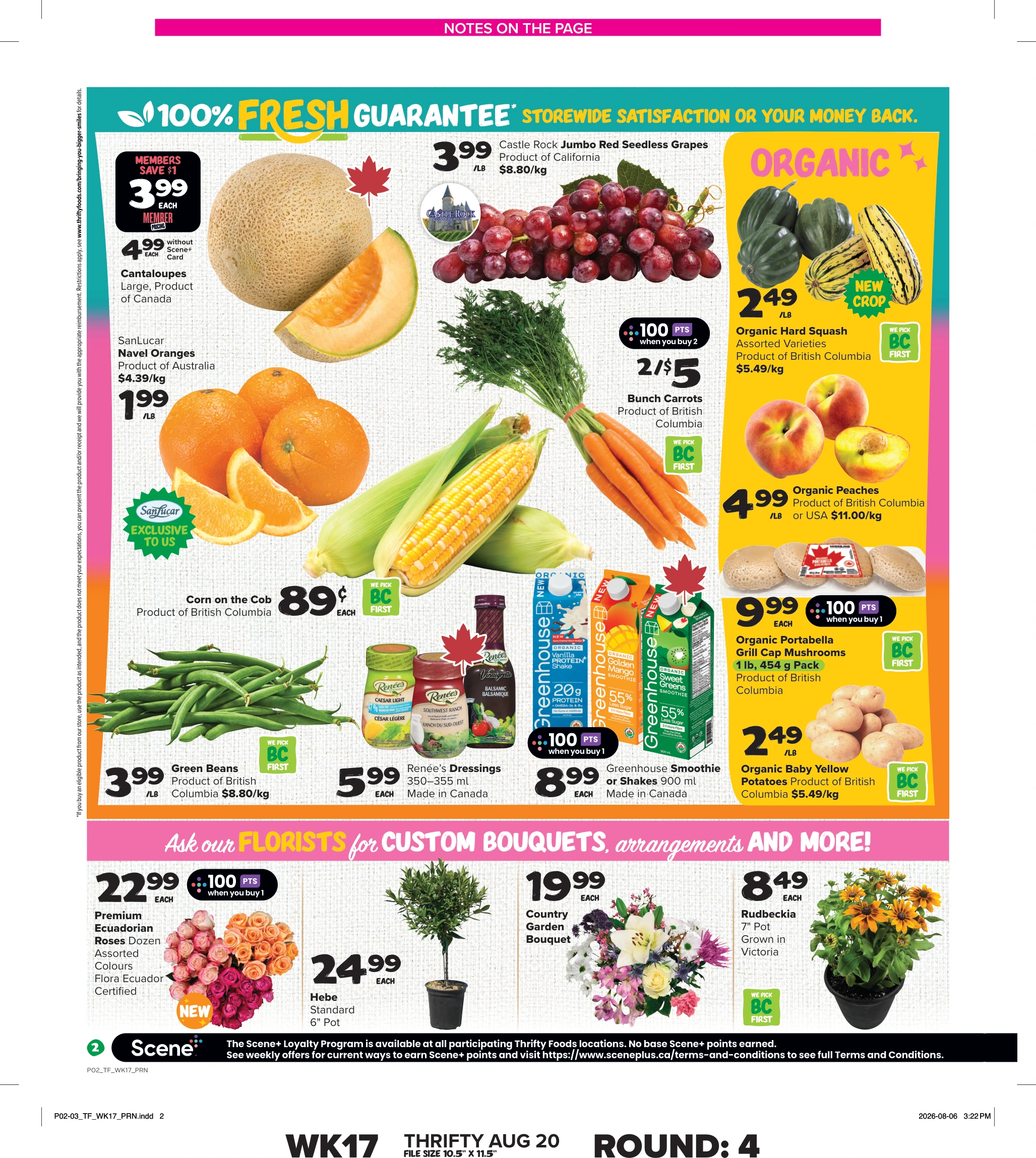 Flyer page 3