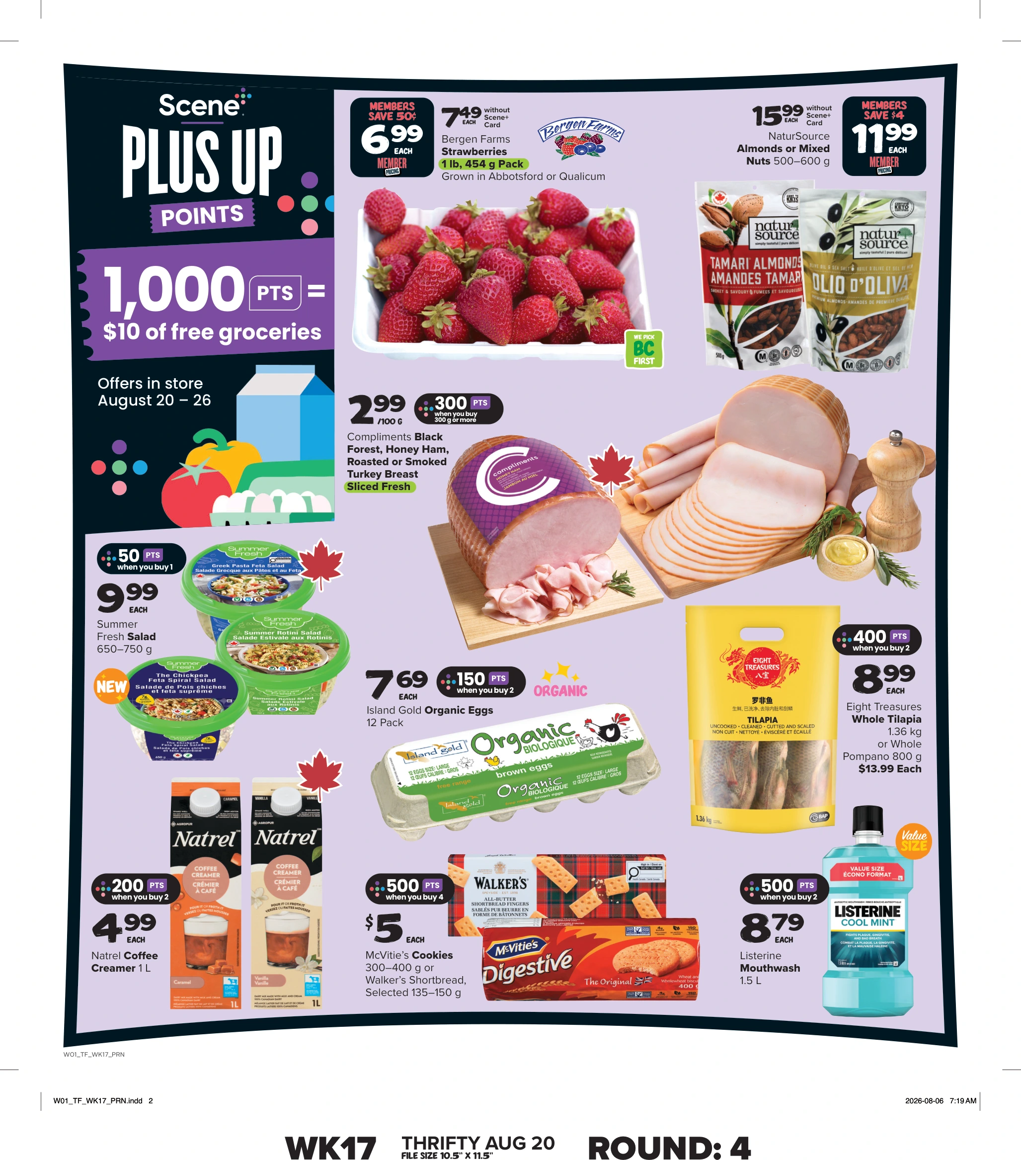 Flyer page 9