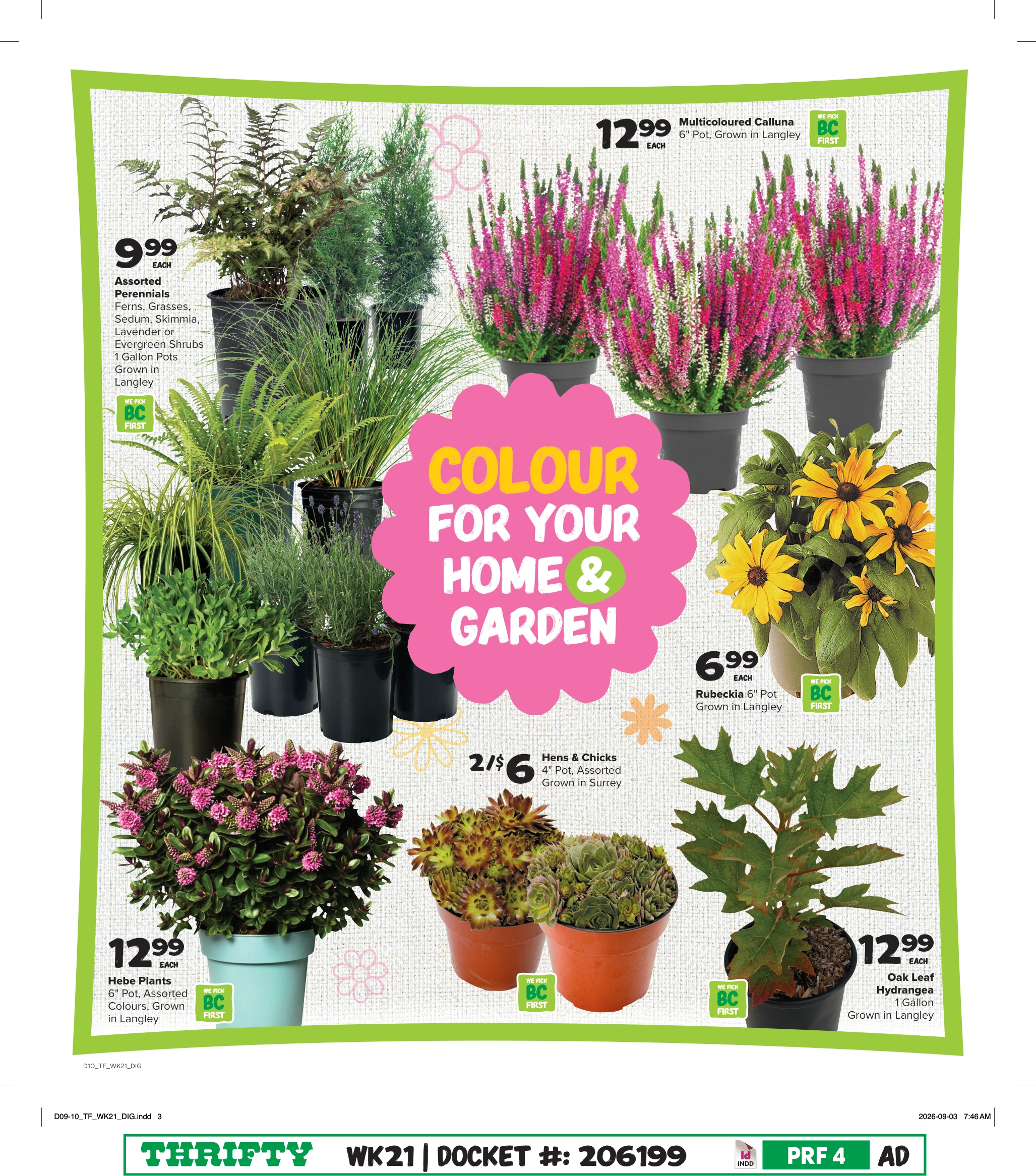Thrifty Foods Weekly Flyer Zone 1 - Page 17