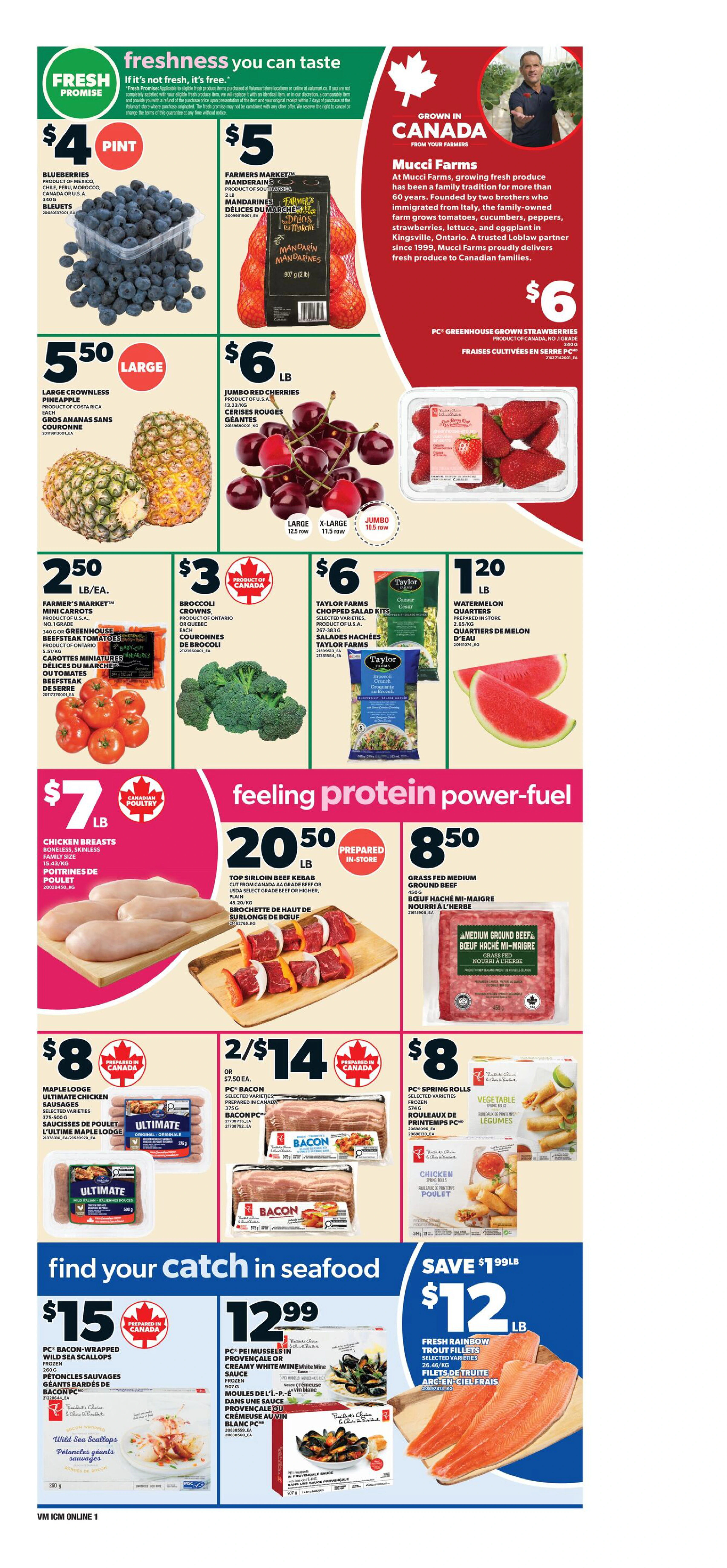 Flyer page 4