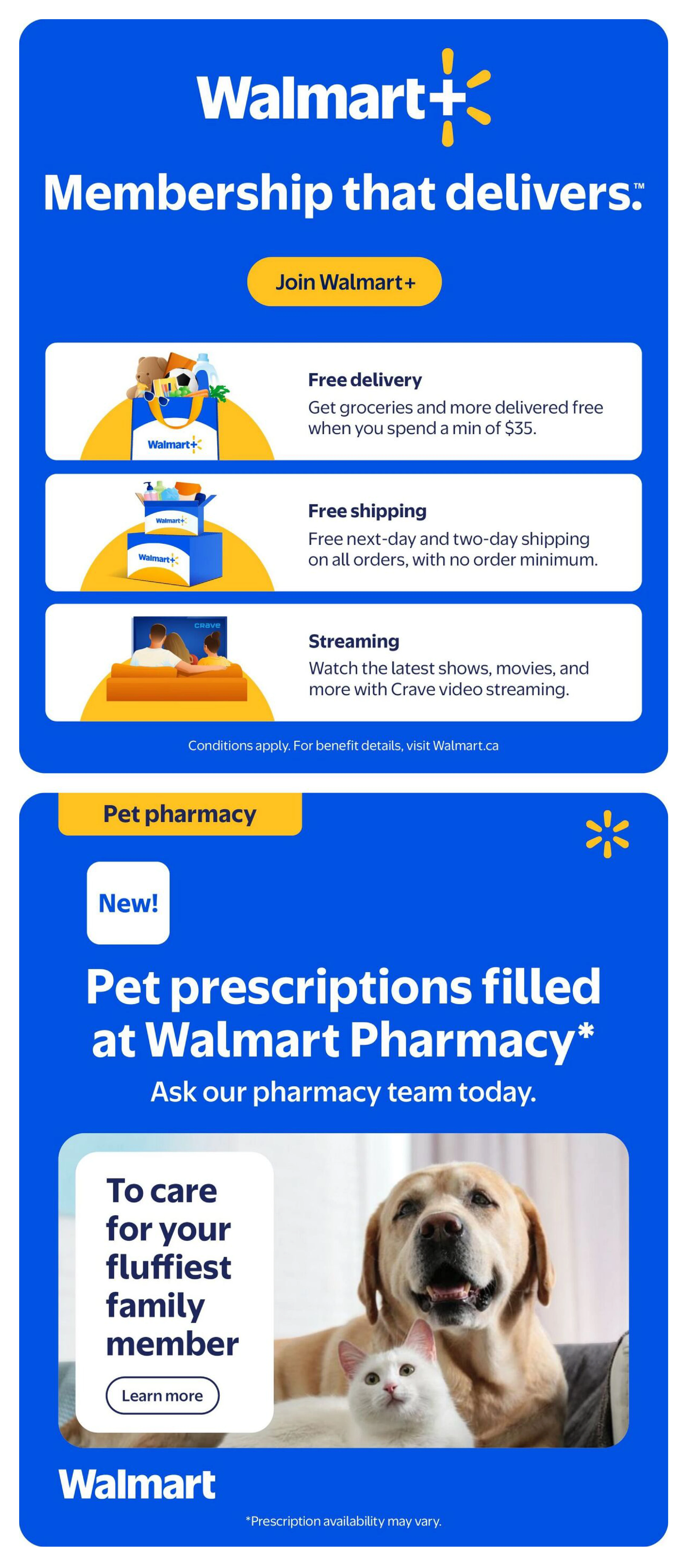 Flyer page 13