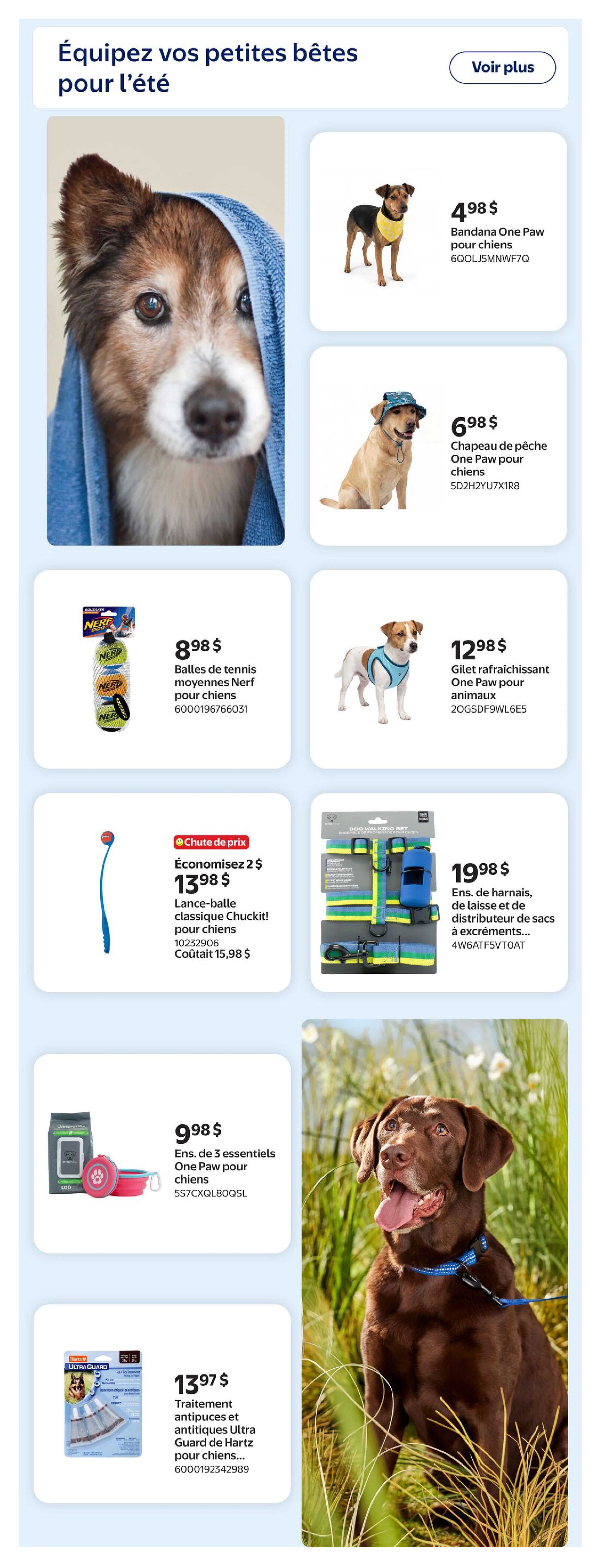 Flyer page 13
